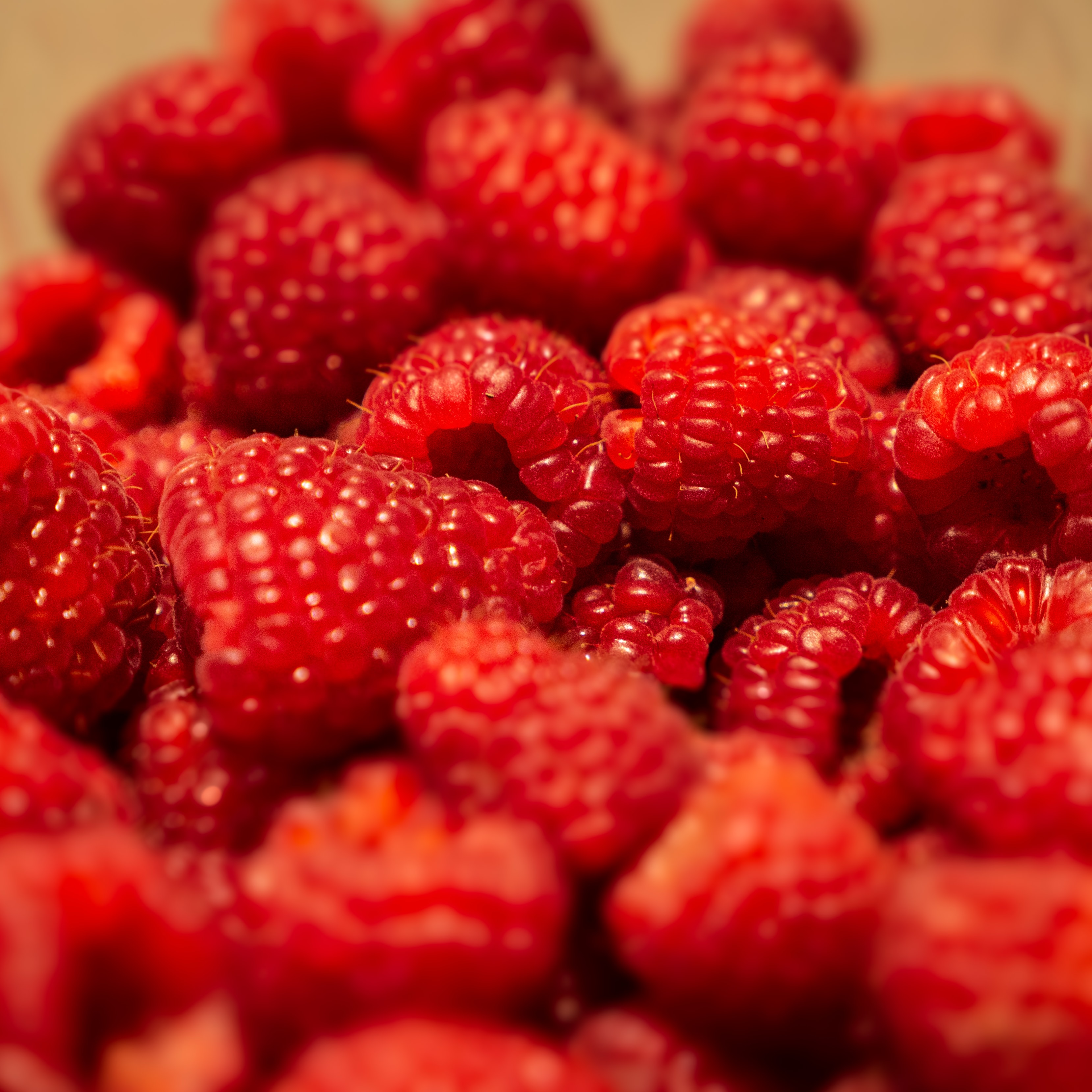 desktop Images fruit, raspberry, berries, macro