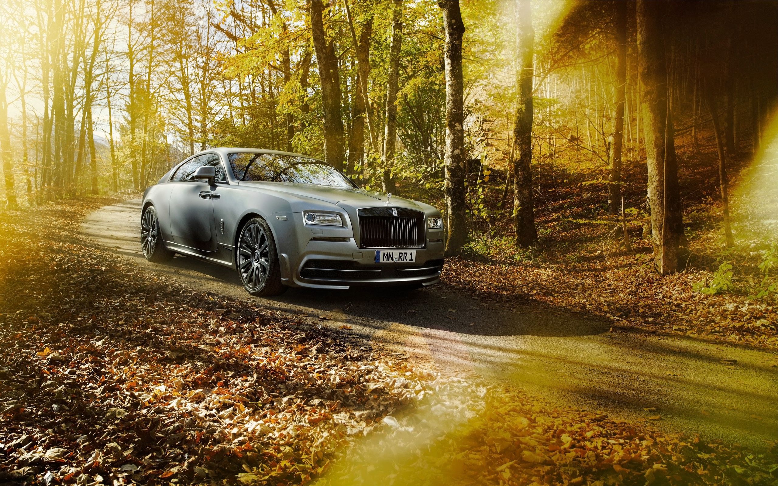 rolls royce, side view, cars, autumn, spofec, park, silver, silvery, wraith Full HD