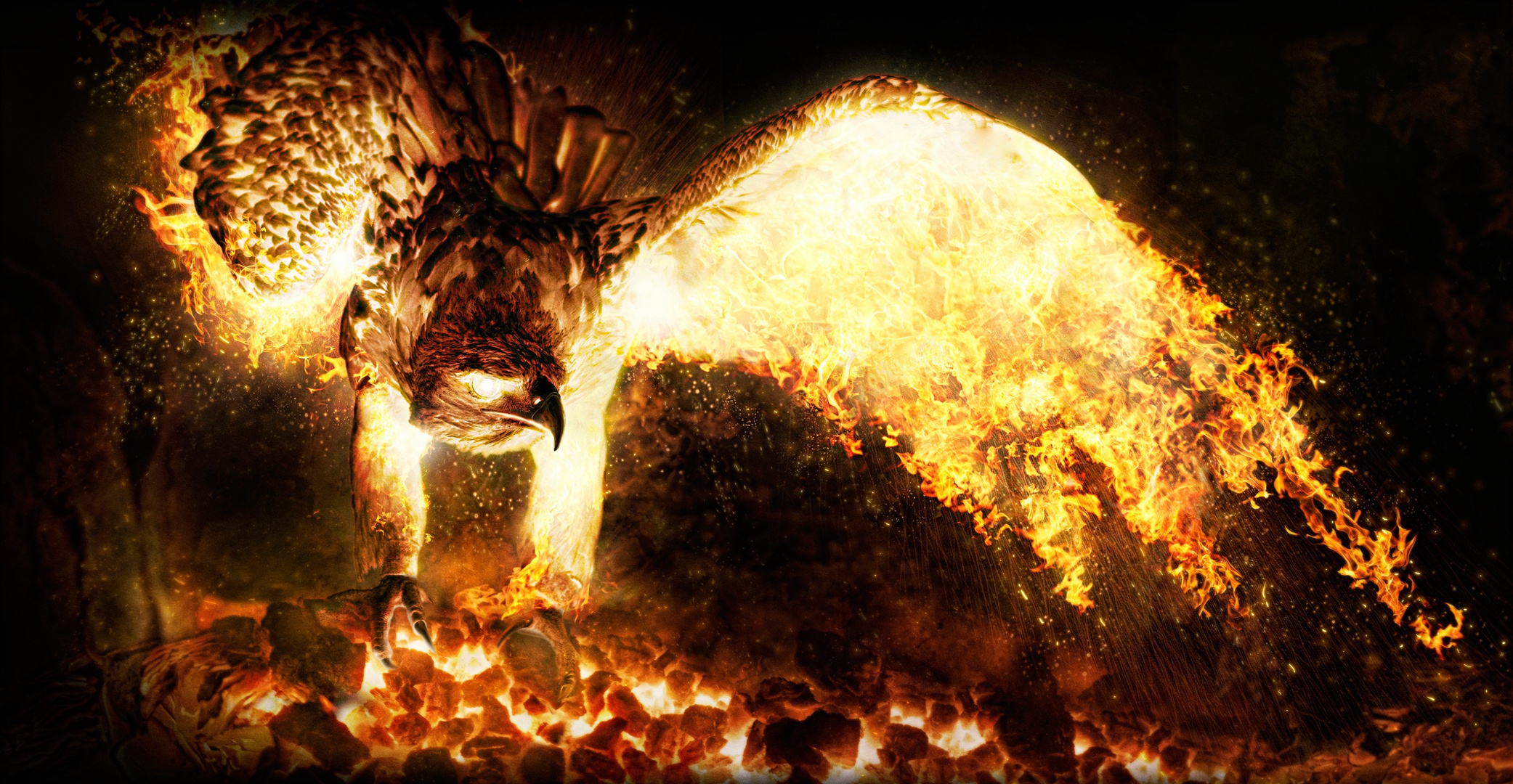 Download mobile wallpaper Fire, Flame, Bird, Eagle, Photography, Bird Of Prey, Manipulation for free.