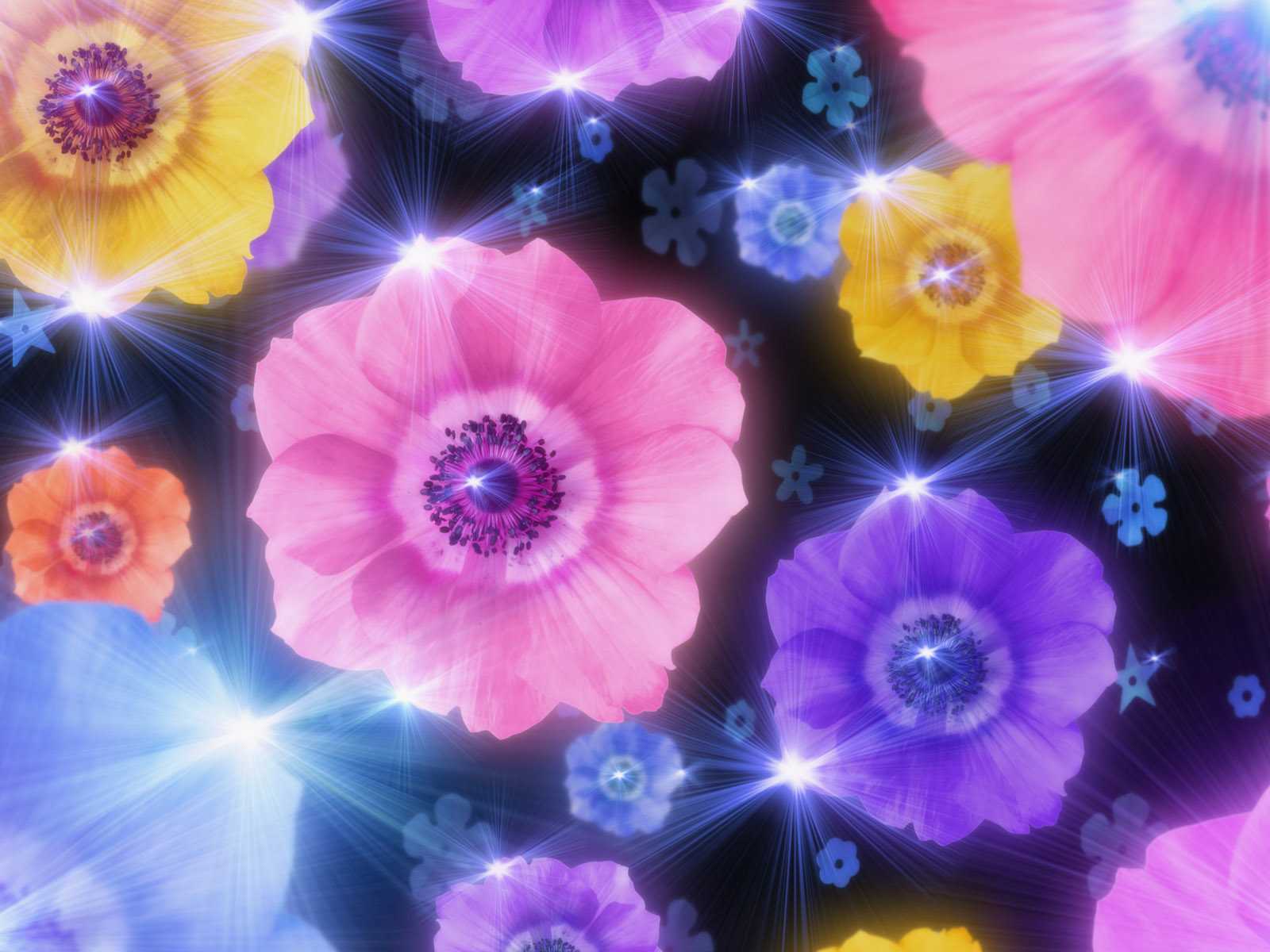 Descarga gratis la imagen Flores, Flor, Artístico en el escritorio de tu PC