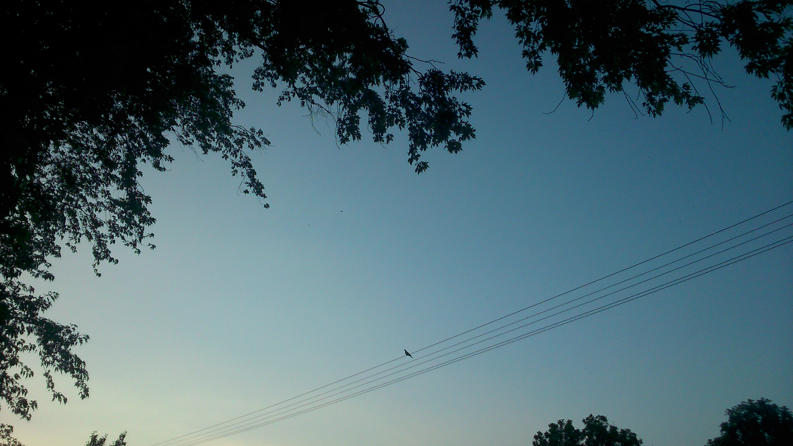 Descarga gratuita de fondo de pantalla para móvil de Cielo, Pájaro, Tierra/naturaleza, Puesta De Sol.