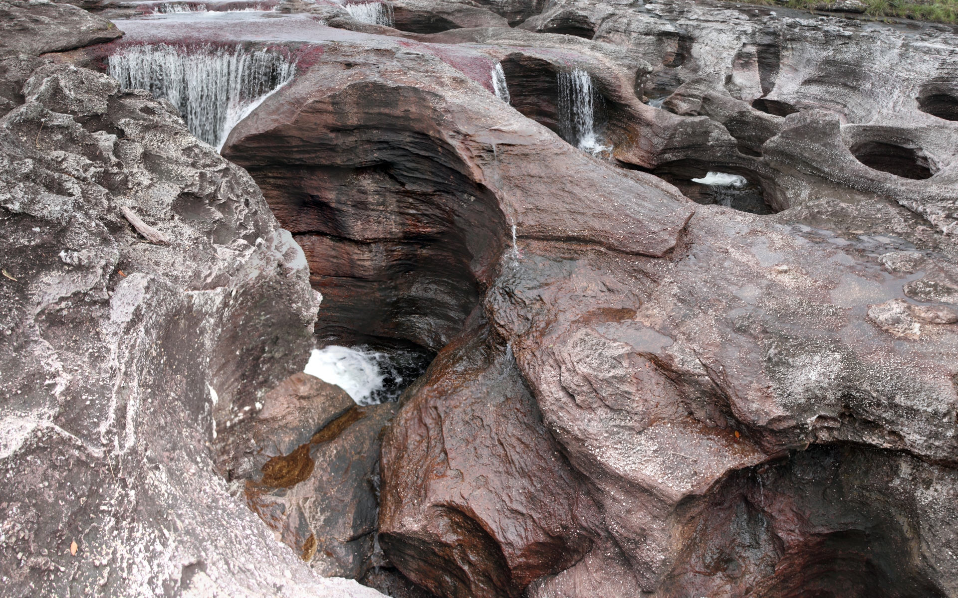 641141 Bild herunterladen erde/natur, caño cristales - Hintergrundbilder und Bildschirmschoner kostenlos