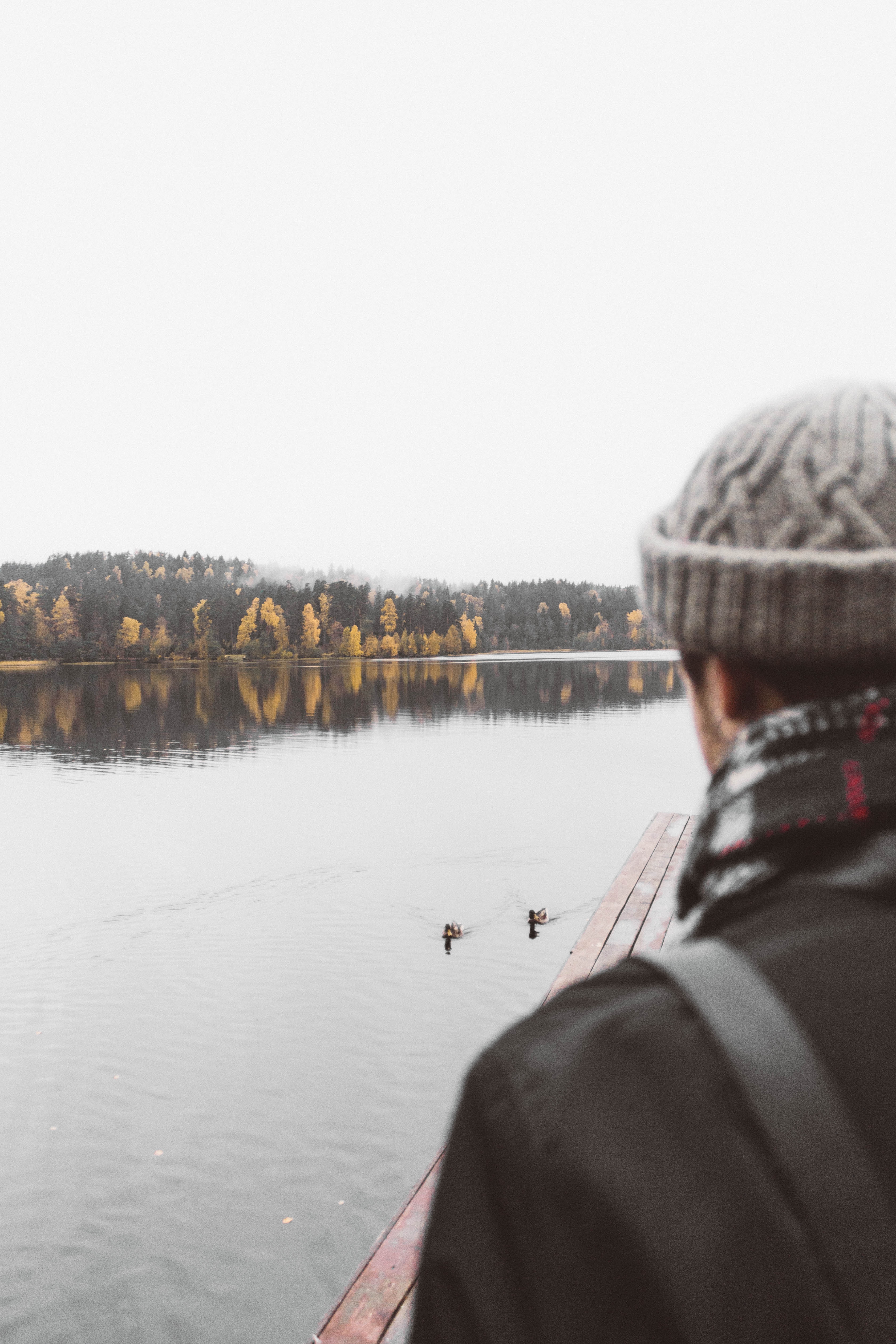 Laden Sie das See, Bank, Verschiedenes, Sonstige, Garten, Mensch, Person, Natur, Ufer, Seebrücke, Pier-Bild kostenlos auf Ihren PC-Desktop herunter