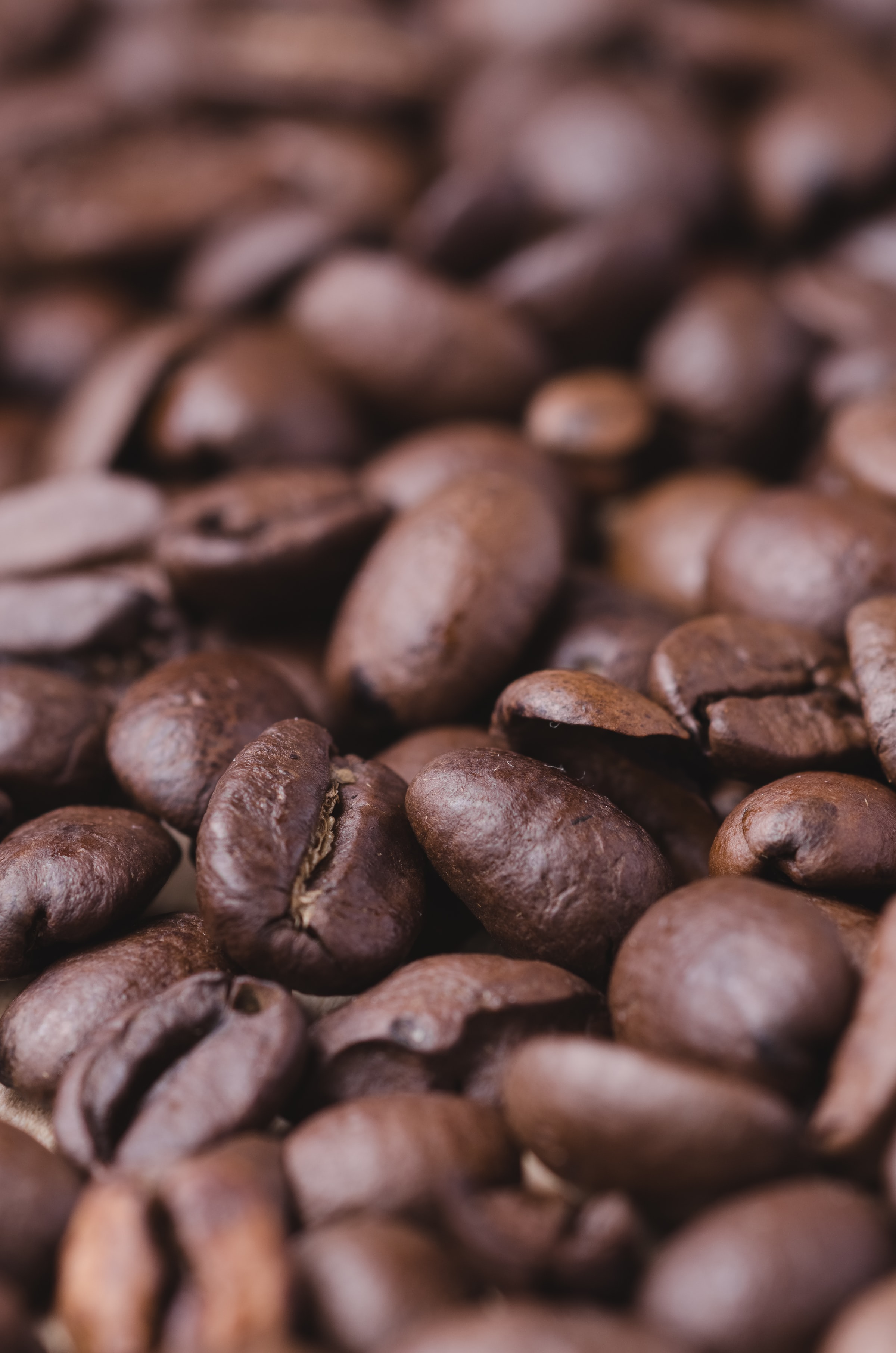 coffee beans, coffee, macro, grains, grain