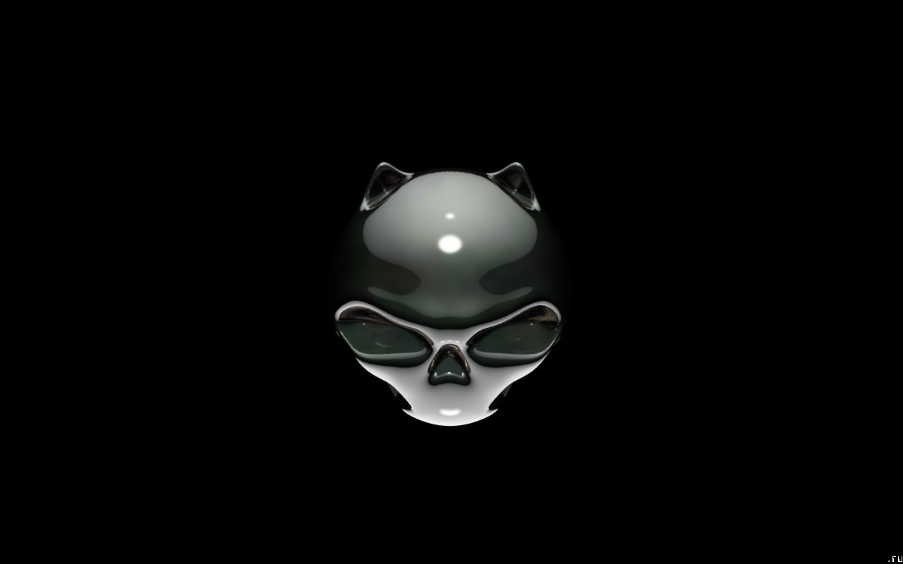Free download wallpaper Dark, Cat, Skull on your PC desktop