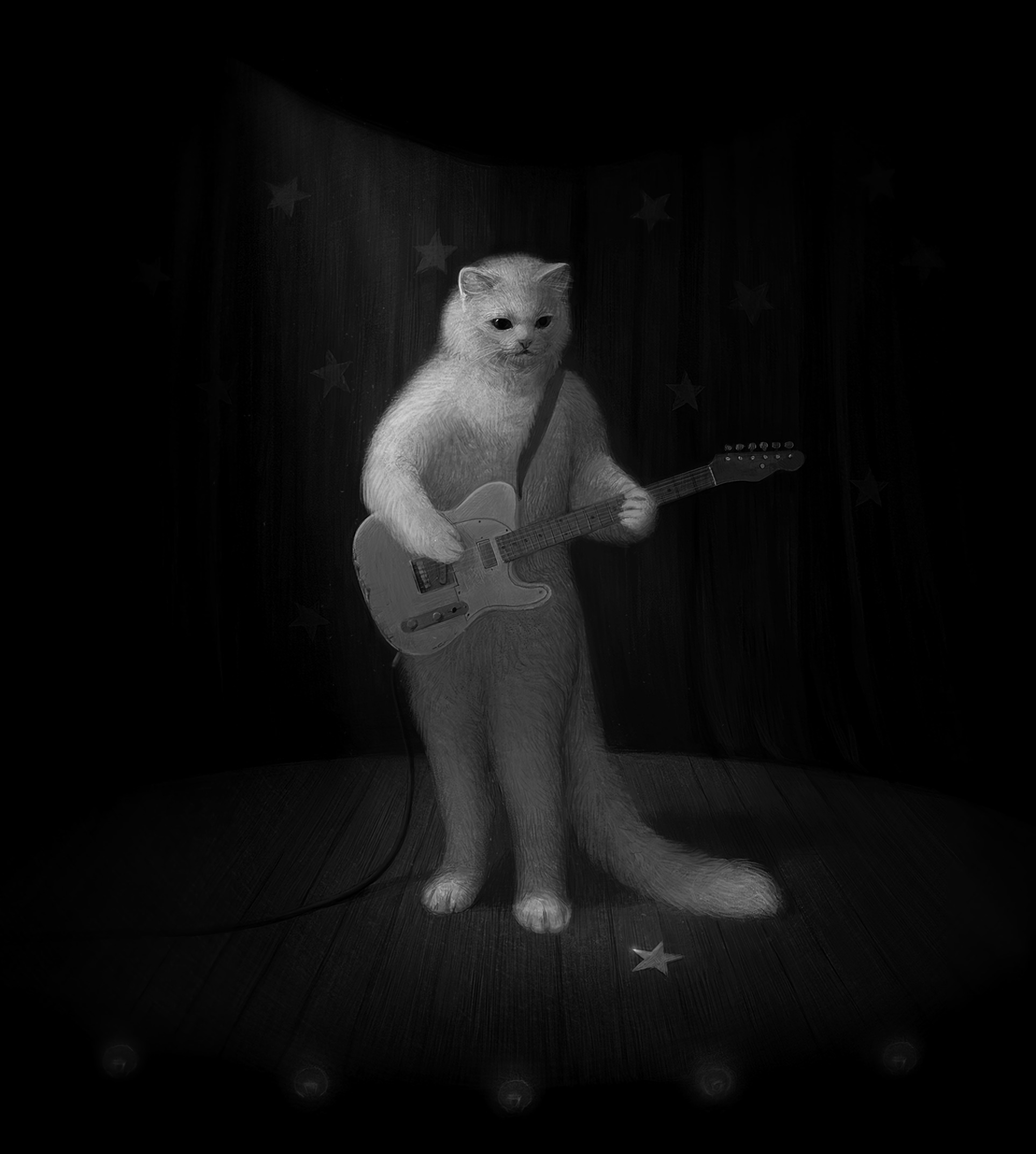 bw, art, musician, guitar, chb, cat Full HD