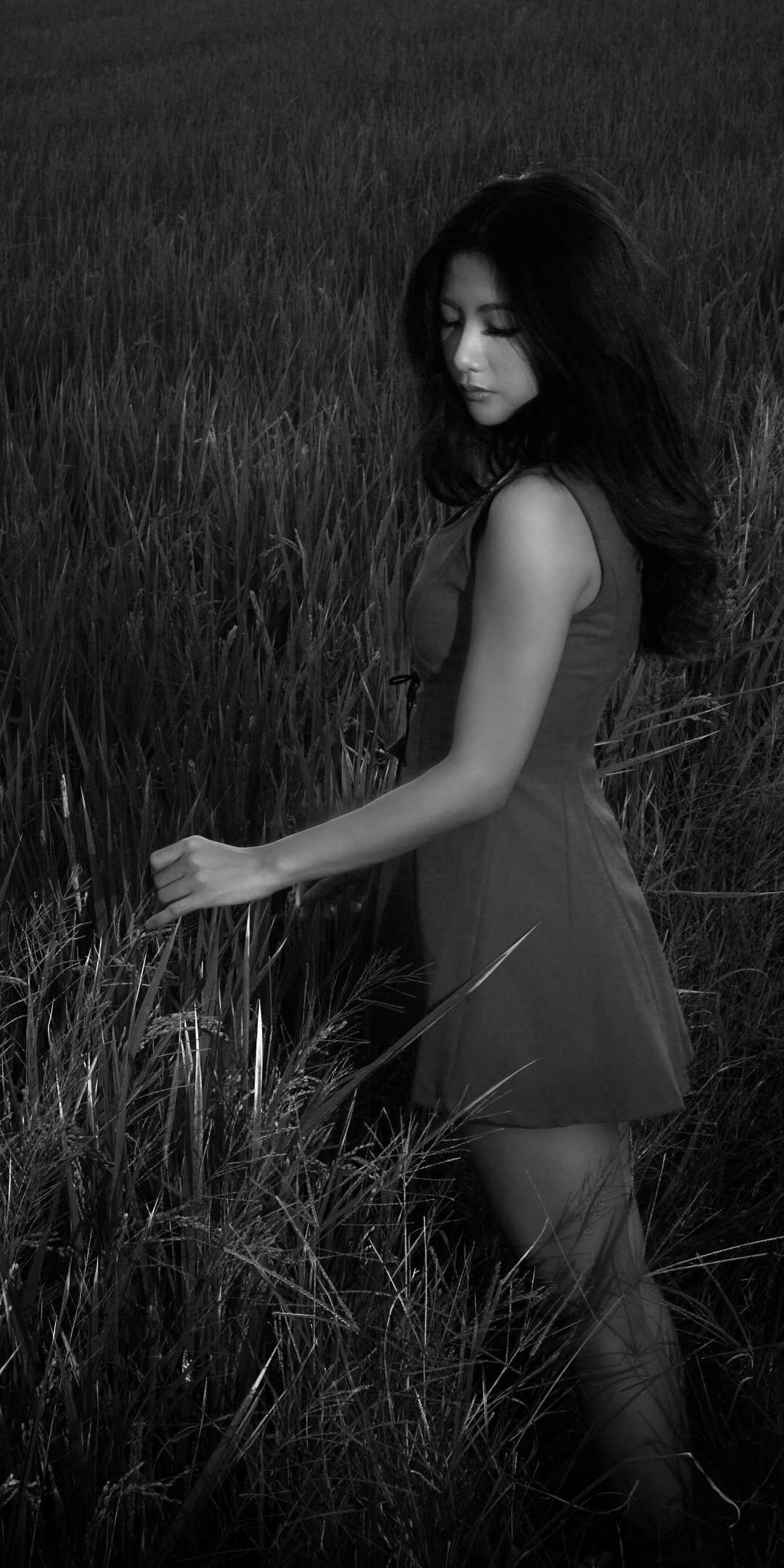 Download mobile wallpaper Night, Field, Monochrome, Dress, Women, Asian for free.