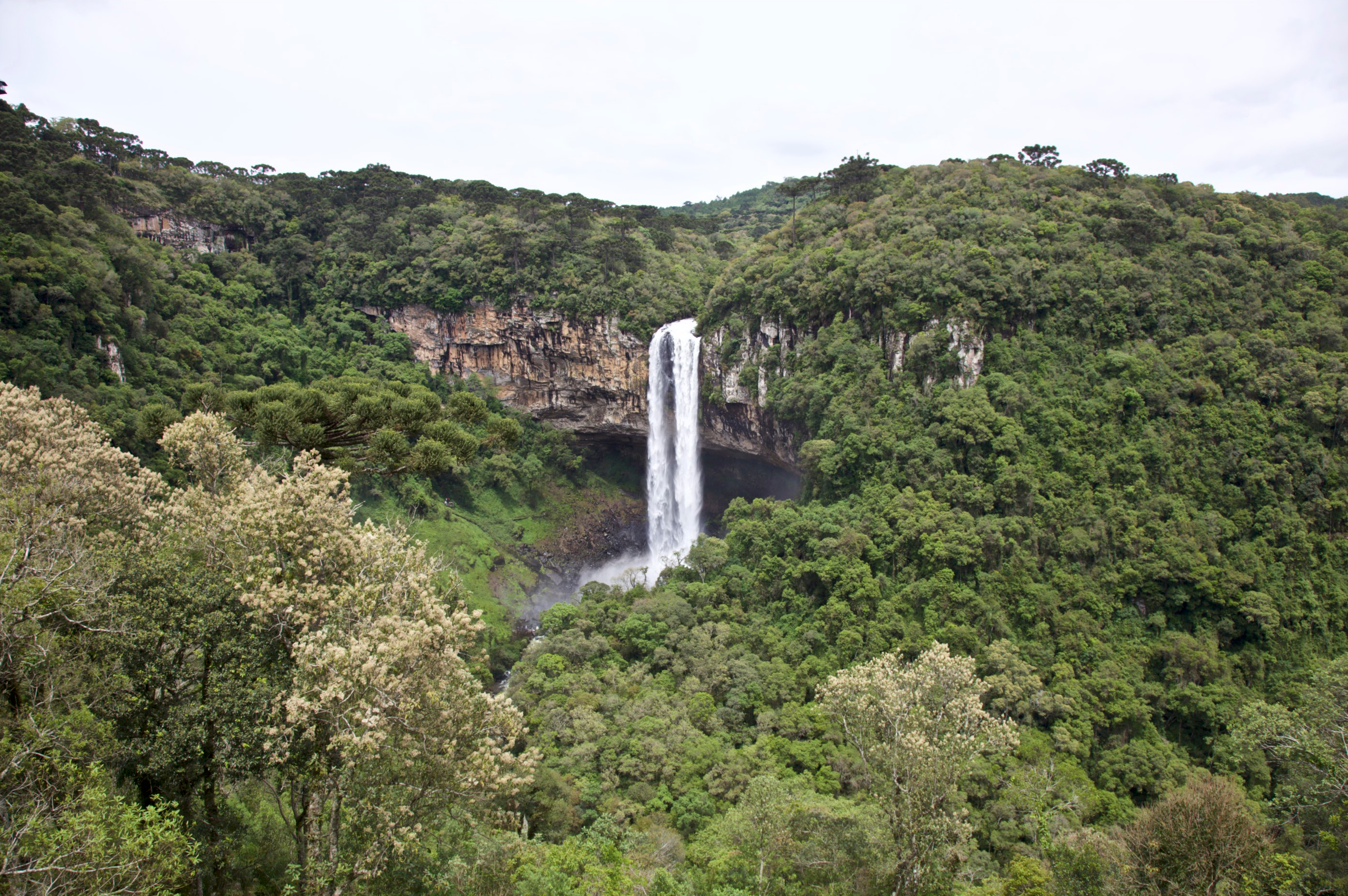 Free download wallpaper Nature, Waterfalls, Waterfall, Forest, Earth, Brazil, Caracol Falls on your PC desktop