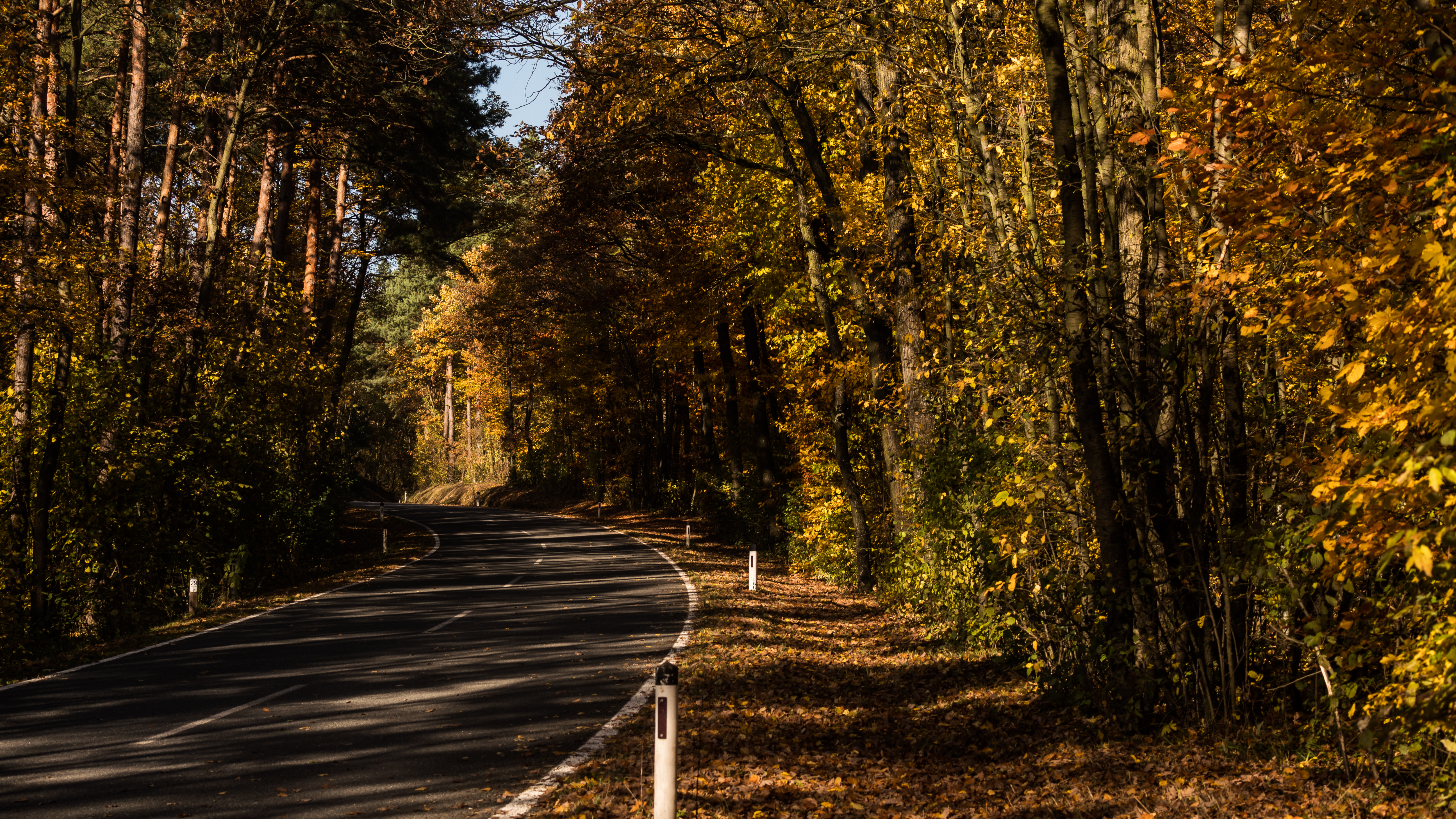無料モバイル壁紙自然, 道路, 路地, 裏通り, 木, 道, 秋をダウンロードします。