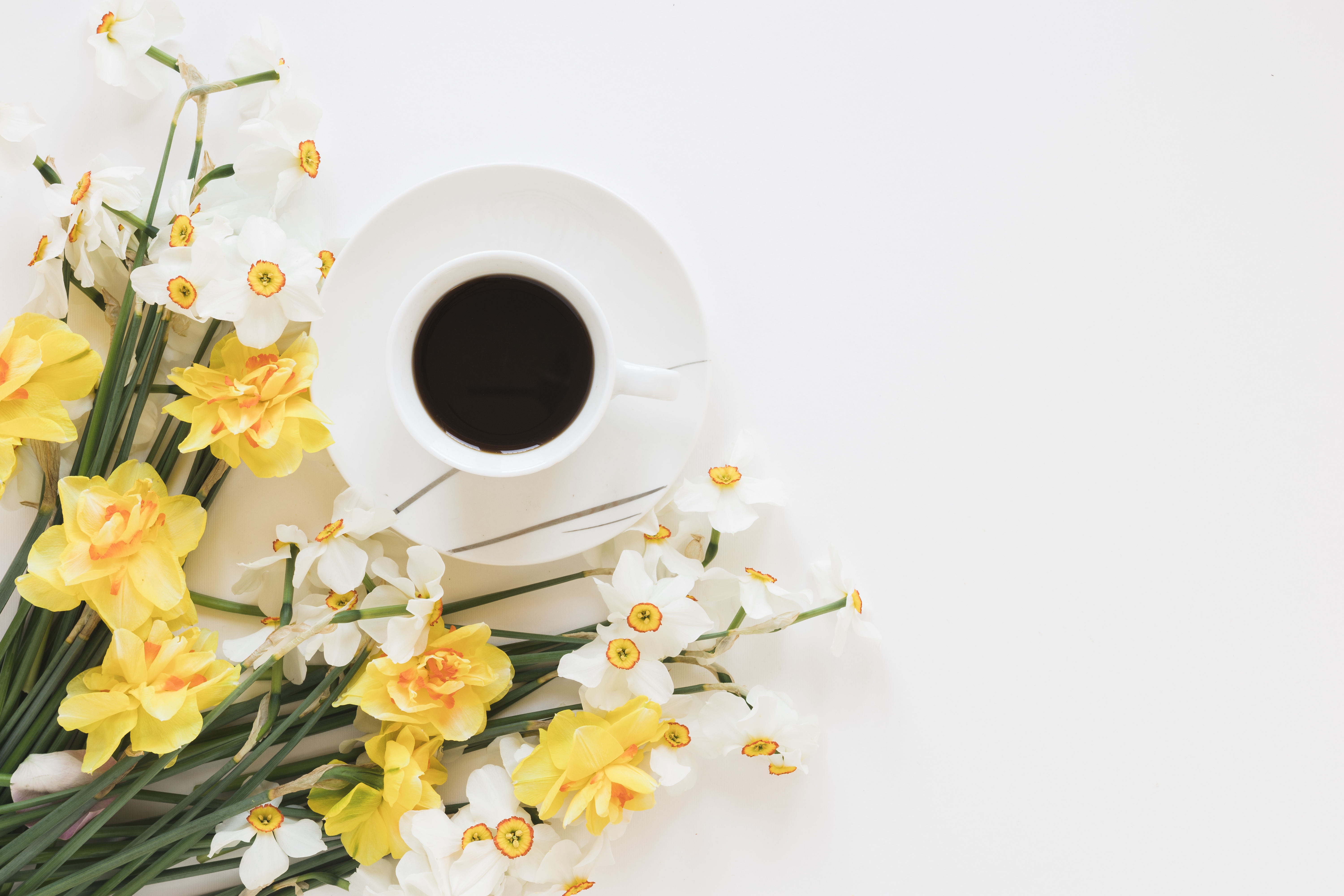 Handy-Wallpaper Narzissen, Blume, Tasse, Gelbe Blume, Weiße Blume, Nahrungsmittel, Stillleben, Kaffee kostenlos herunterladen.