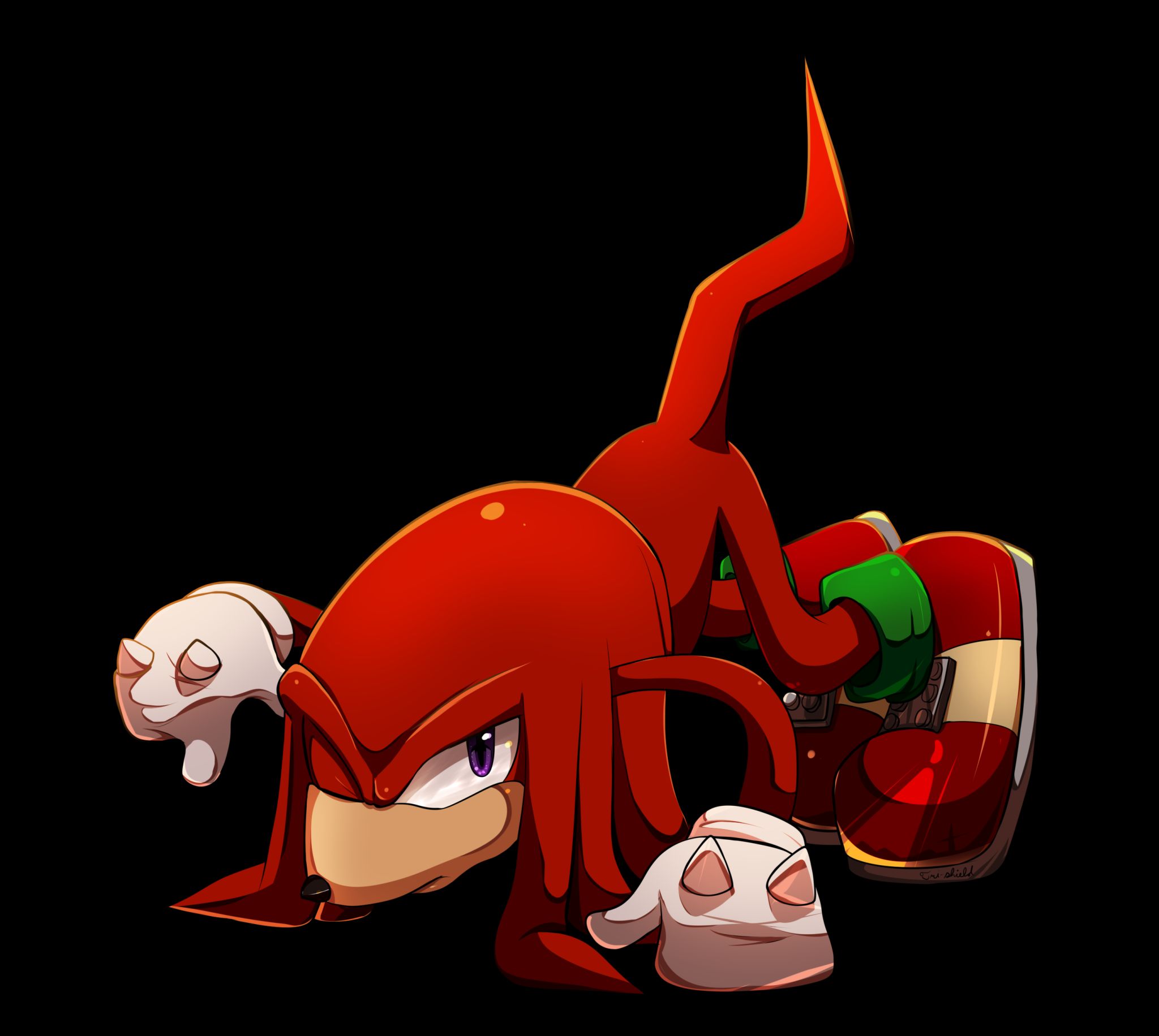 Download mobile wallpaper Tail, Shoe, Video Game, Sonic The Hedgehog, Purple Eyes, Knuckles The Echidna, Sonic for free.