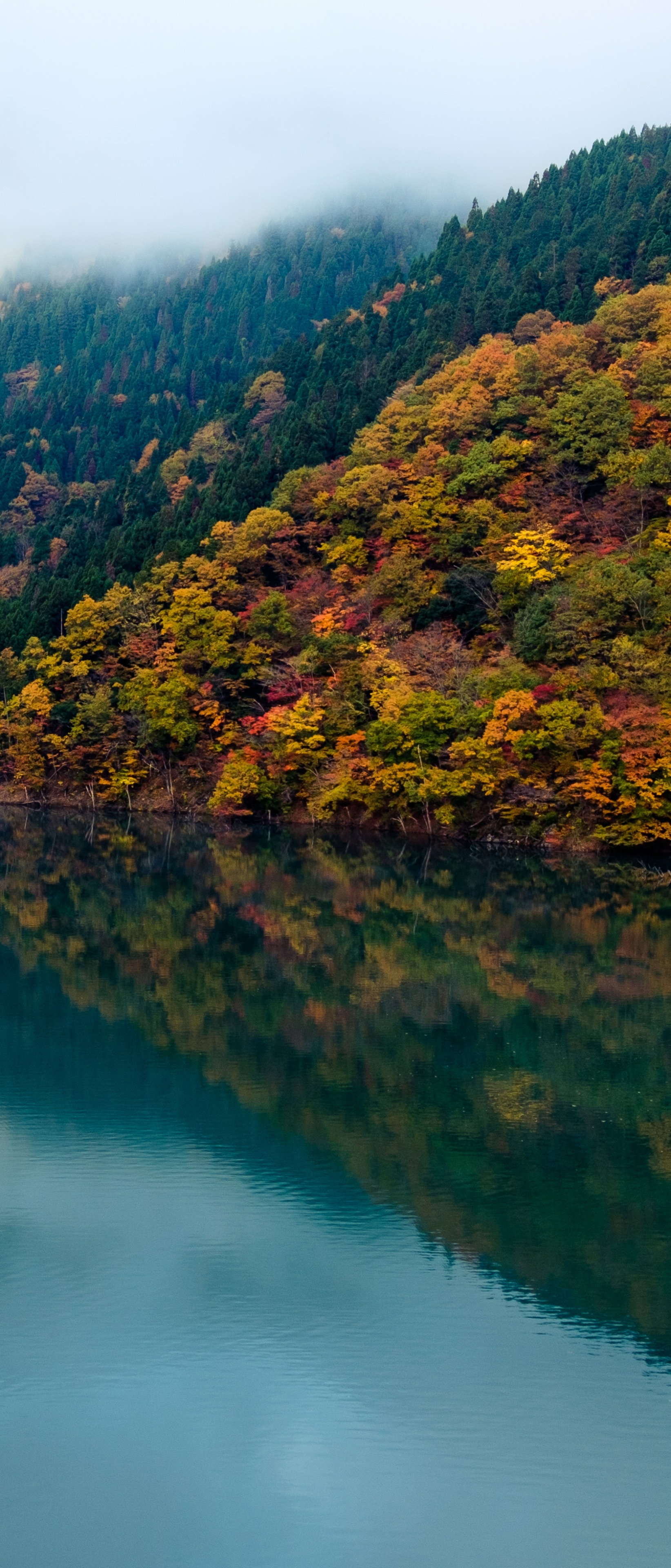 Скачать картинку Природа, Река, Осень, Отражение, Падать, Земля/природа в телефон бесплатно.