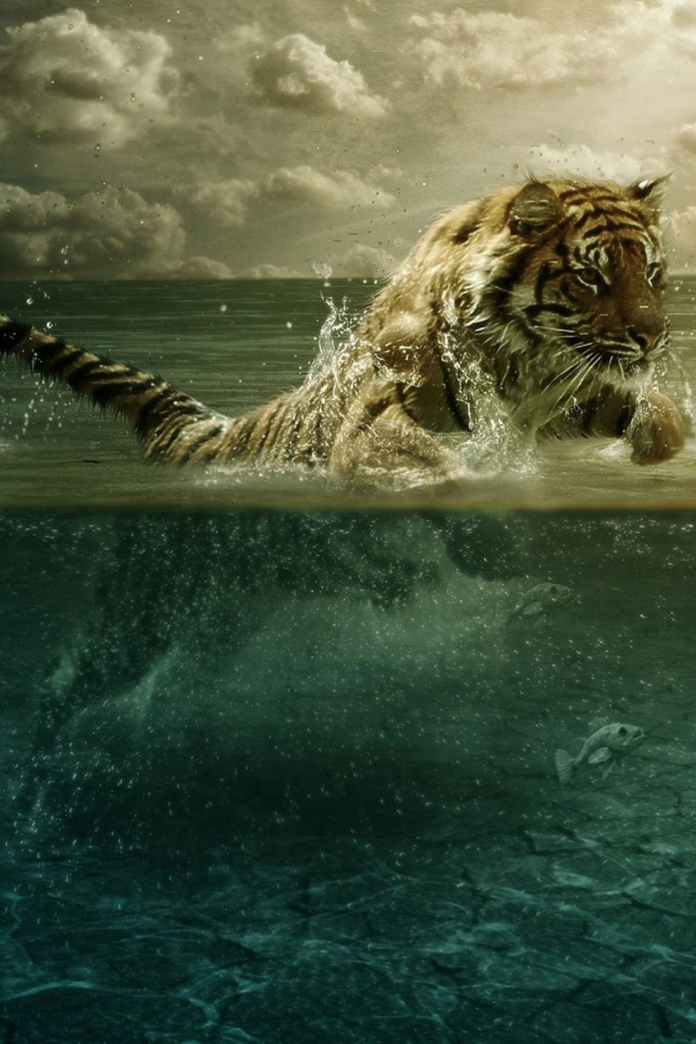 Скачати мобільні шпалери Вода, Тигр, Тварина, Коти, Хмара безкоштовно.