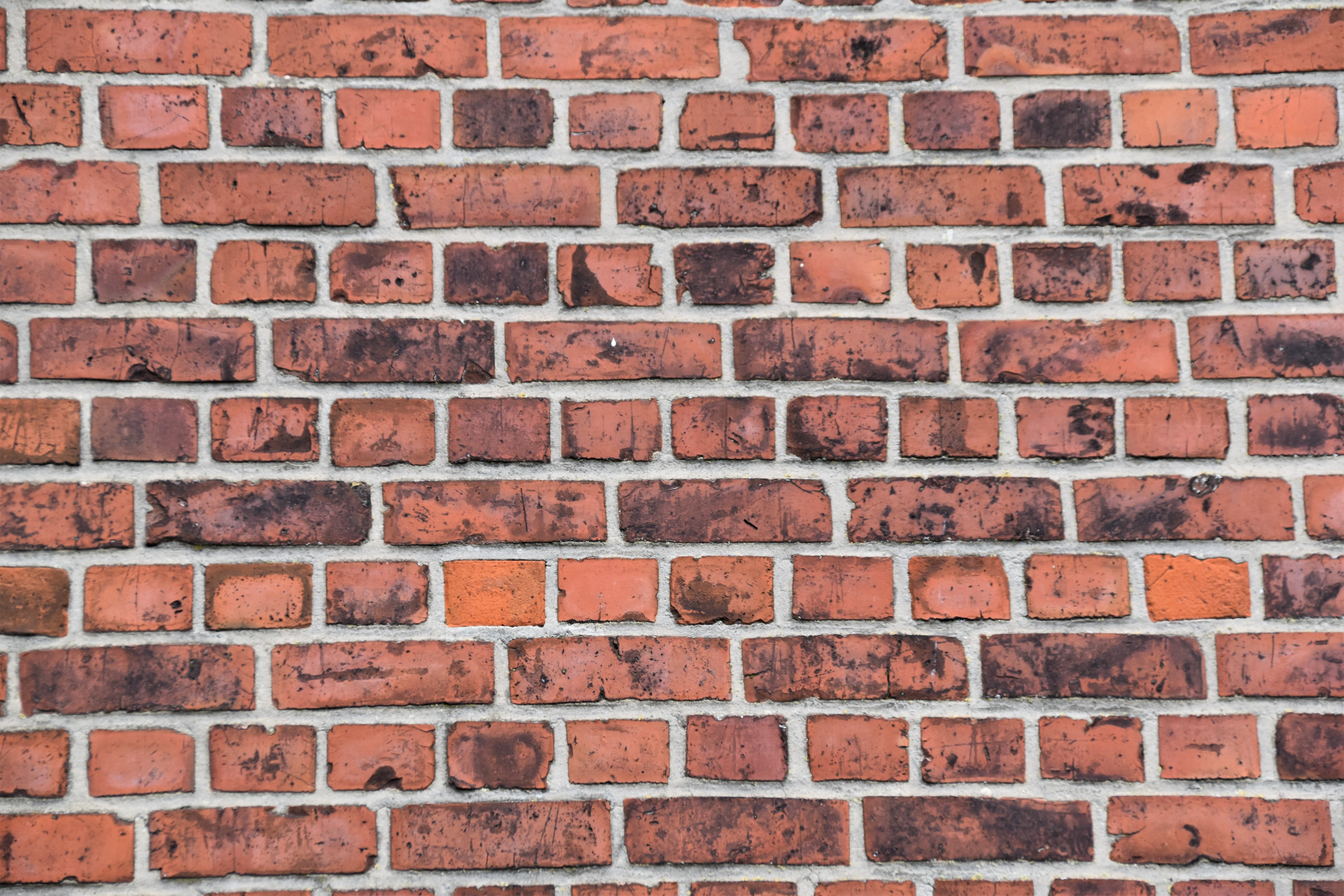 texture, textures, wall, bricks, brick wall
