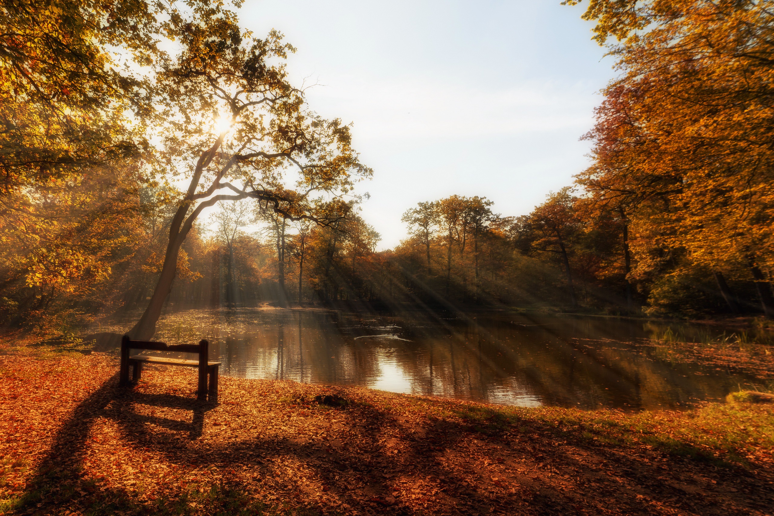 Free download wallpaper Nature, Lakes, Lake, Tree, Fall, Earth, Bench, Sunbeam on your PC desktop