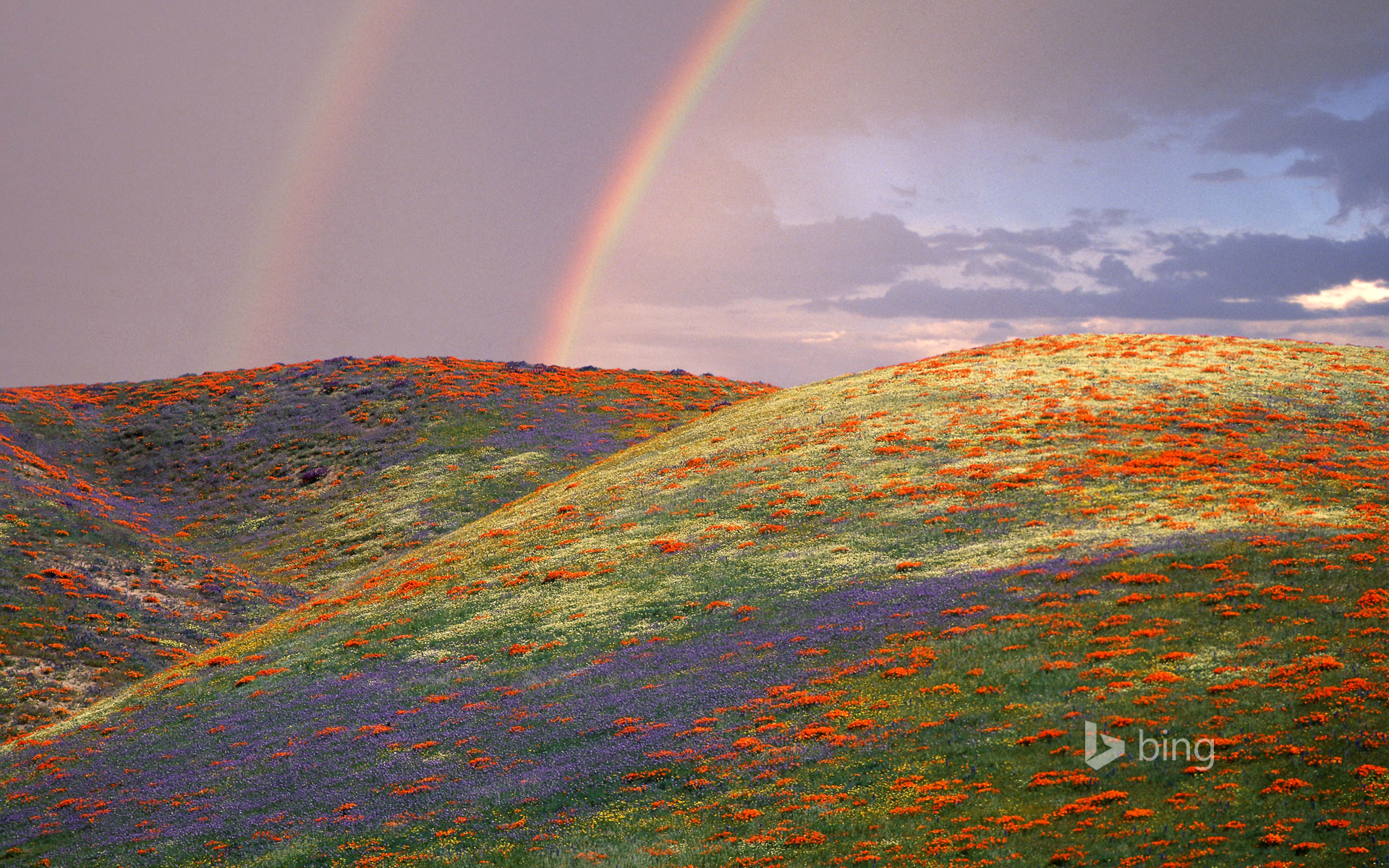 Descarga gratis la imagen Arco Iris, Tierra/naturaleza en el escritorio de tu PC