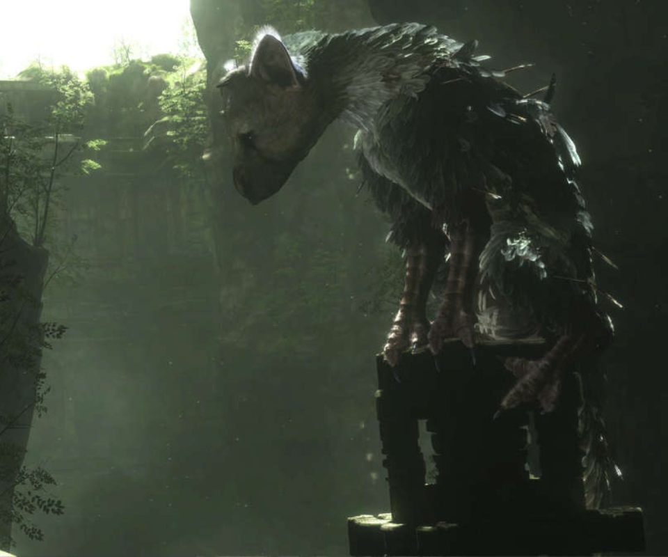 video game, the last guardian, creature
