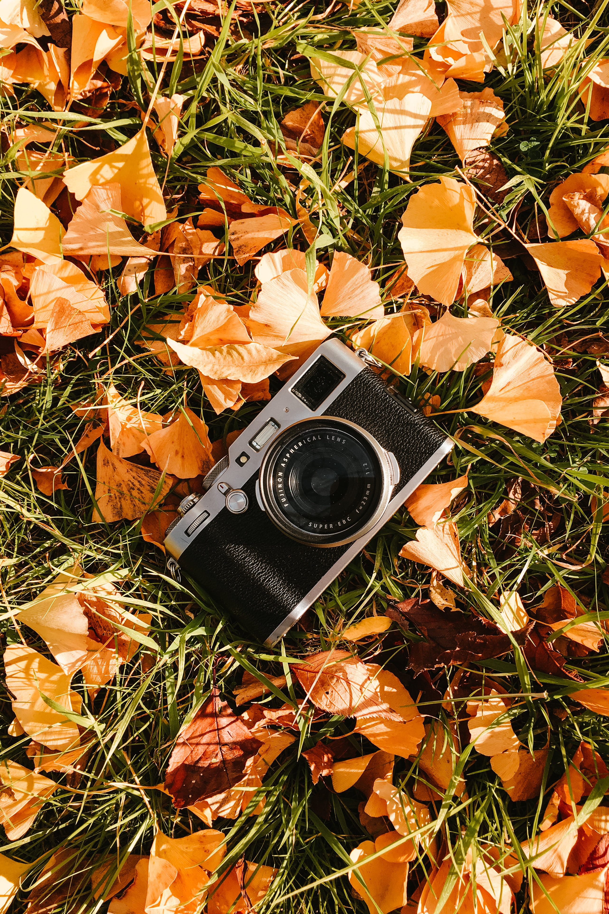Free download wallpaper Grass, Leaves, Camera, Technologies, Technology on your PC desktop