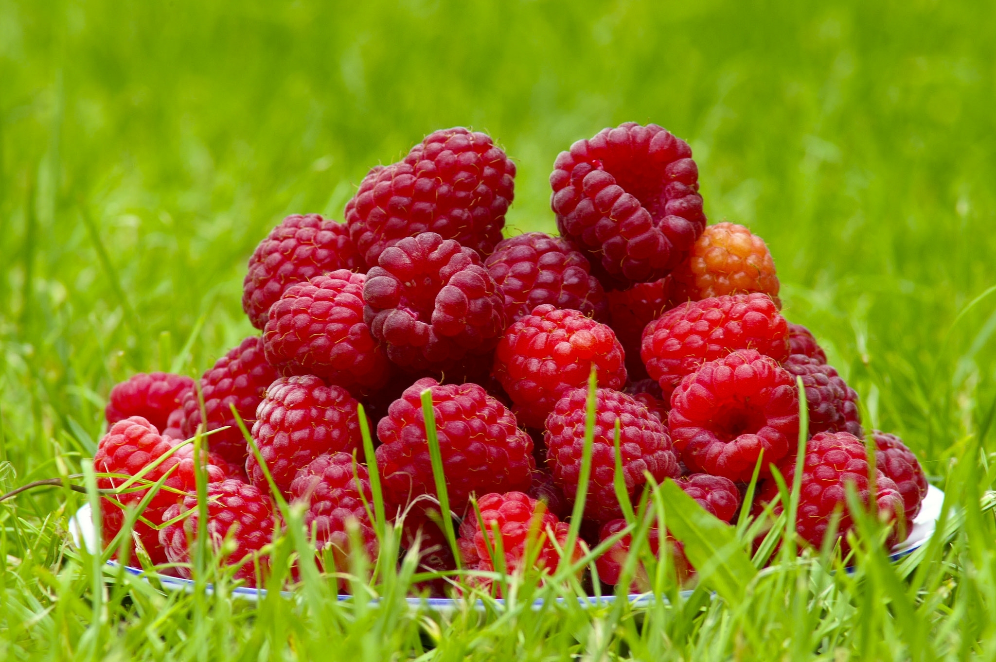 Download mobile wallpaper Fruits, Food, Grass, Summer, Raspberry, Close Up, Berry for free.