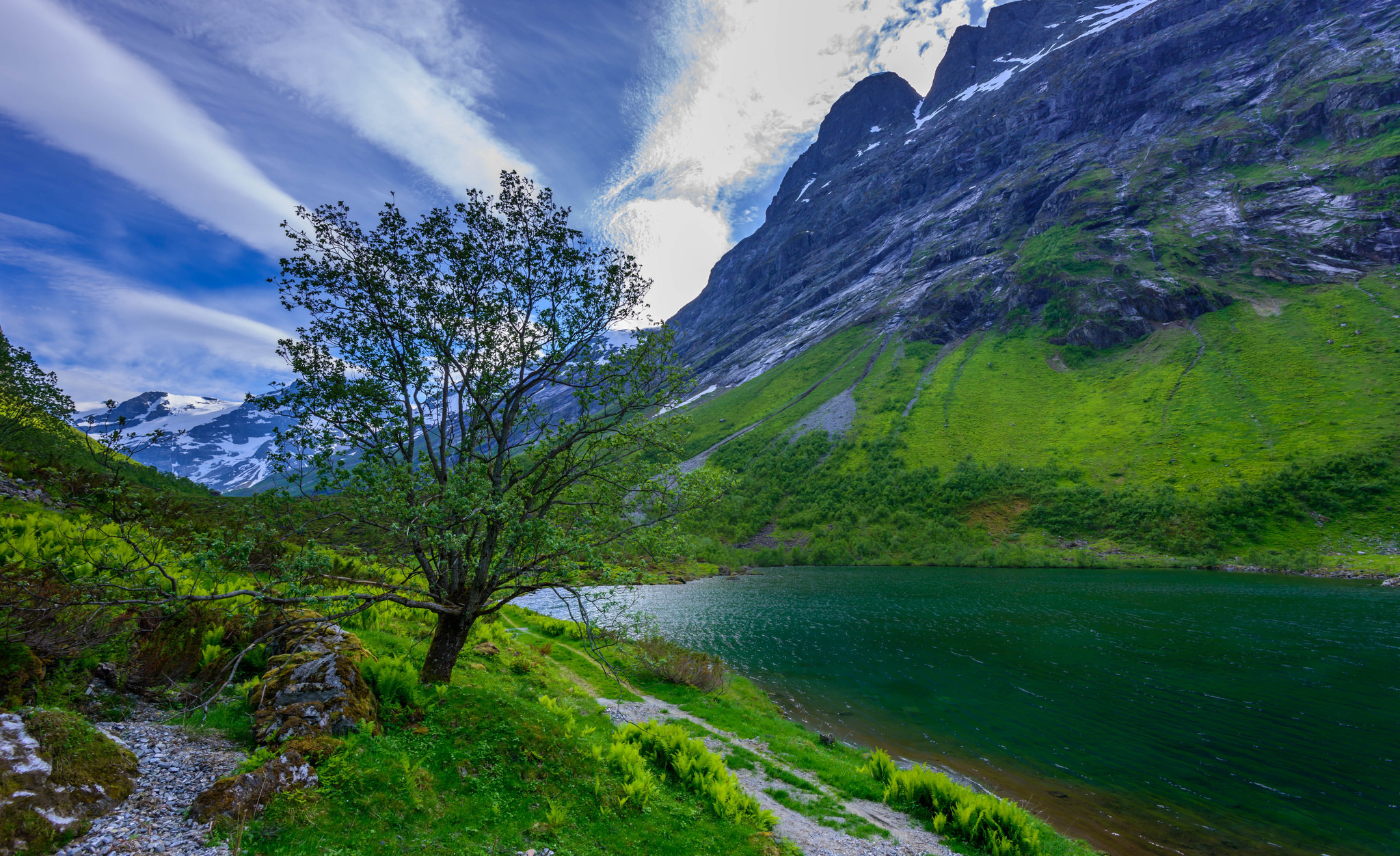 Free download wallpaper Nature, Grass, Sky, Lakes, Mountain, Lake, Tree, Earth, Cloud, Lonely Tree on your PC desktop