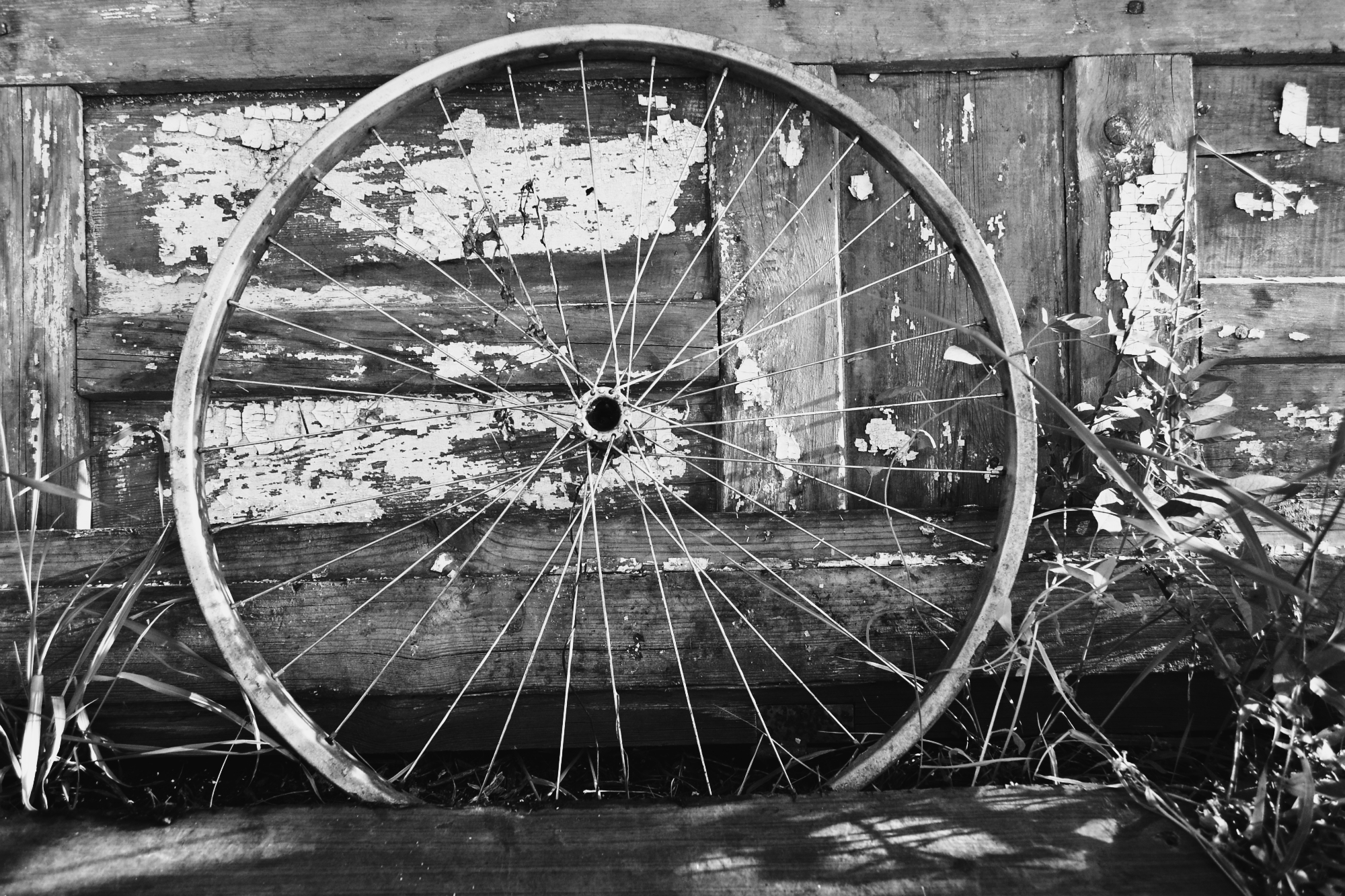 photography, wheel