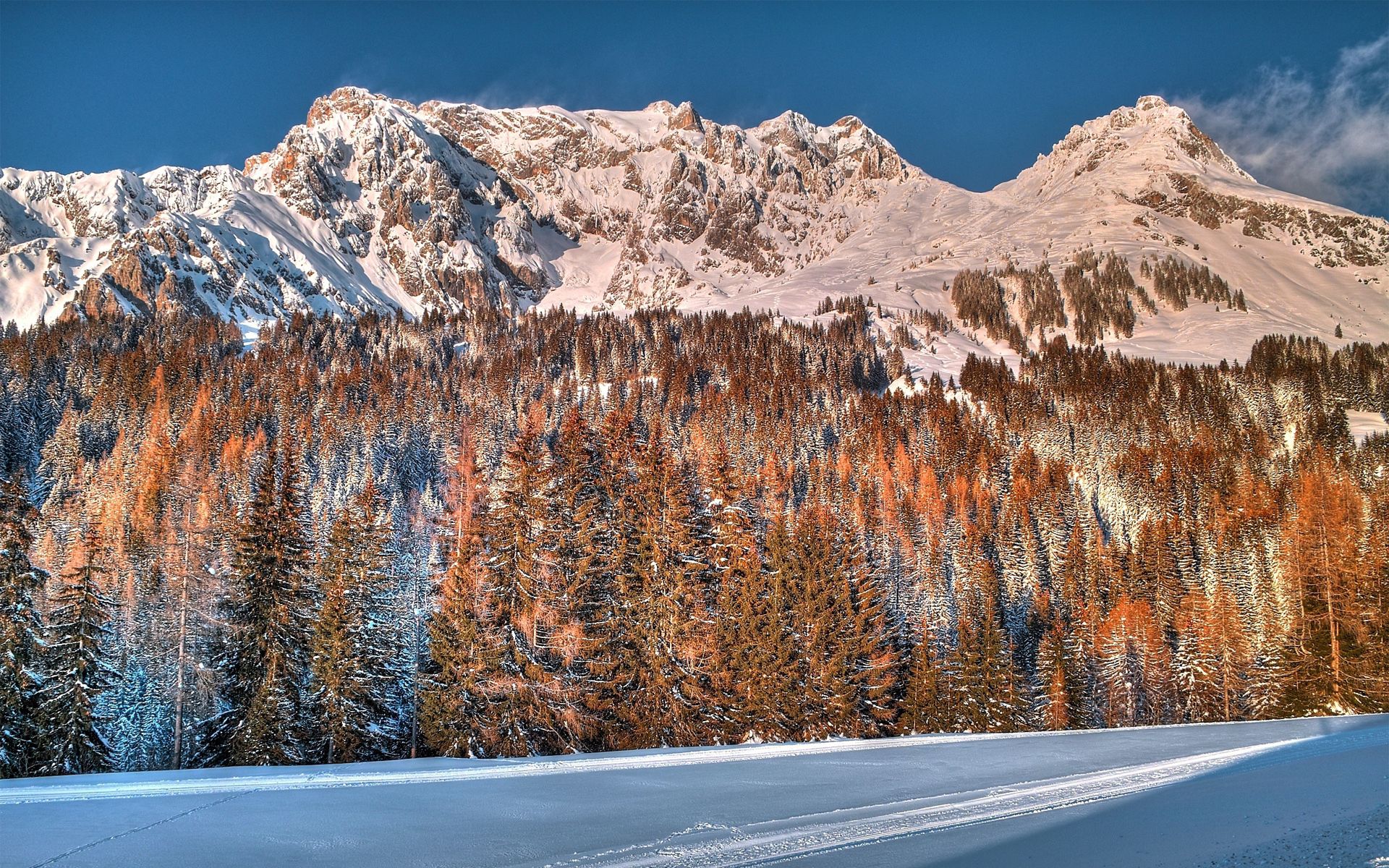 PCデスクトップに冬, 自然, 木, 山脈, 雪, 森, 森林画像を無料でダウンロード