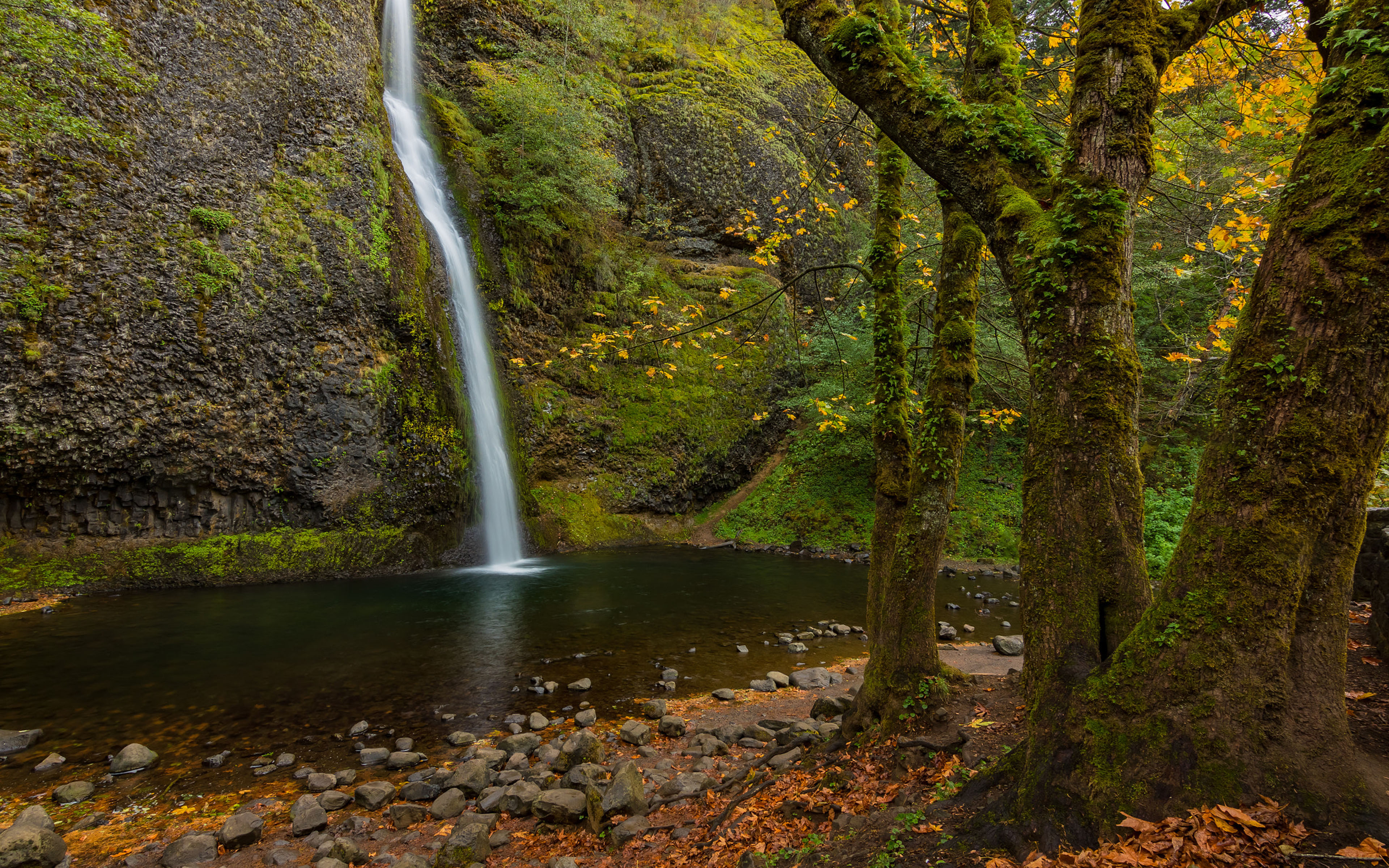 Laden Sie das Wasserfälle, Wasserfall, Erde/natur, Schachtelhalm Fällt-Bild kostenlos auf Ihren PC-Desktop herunter