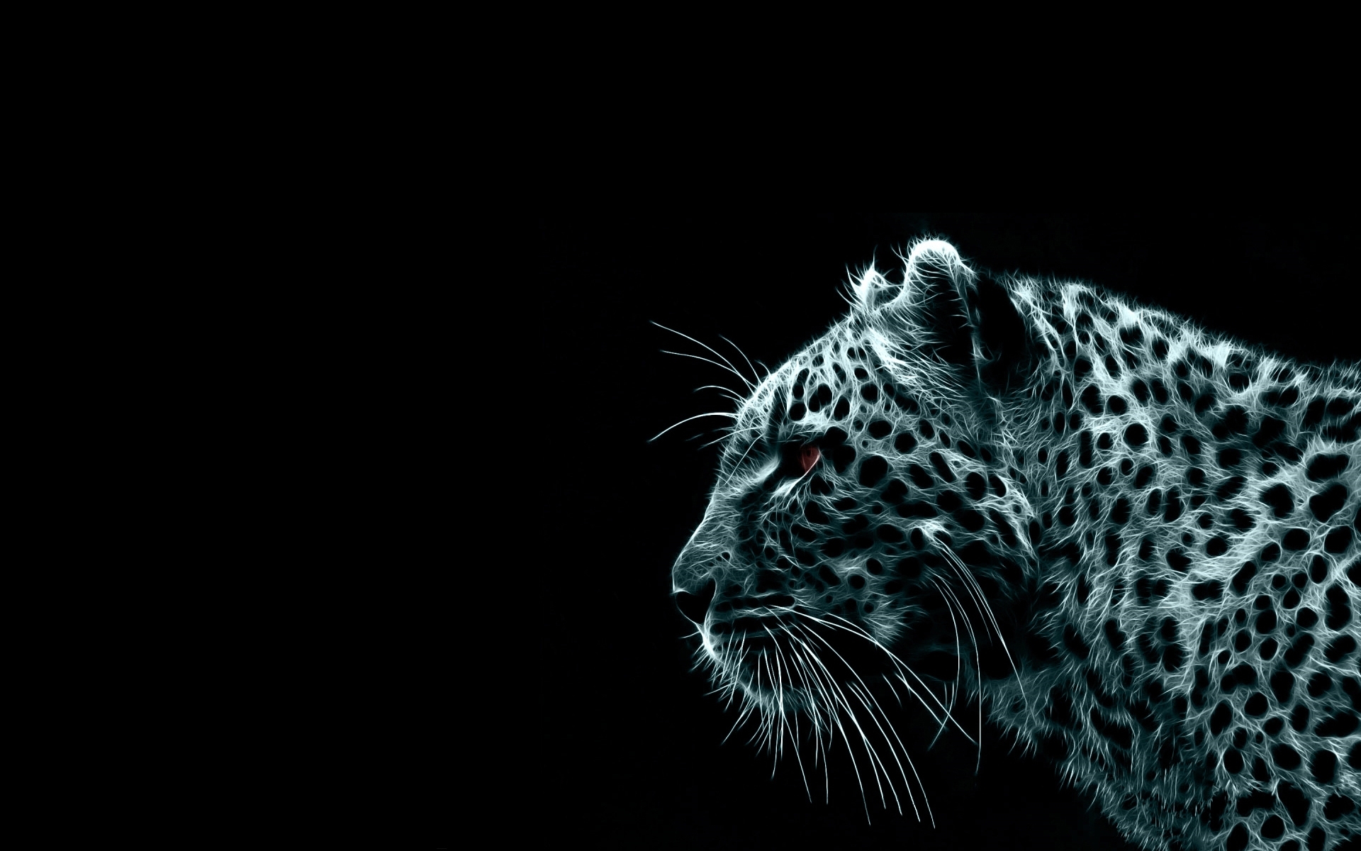 tigers, pictures, black, animals Smartphone Background
