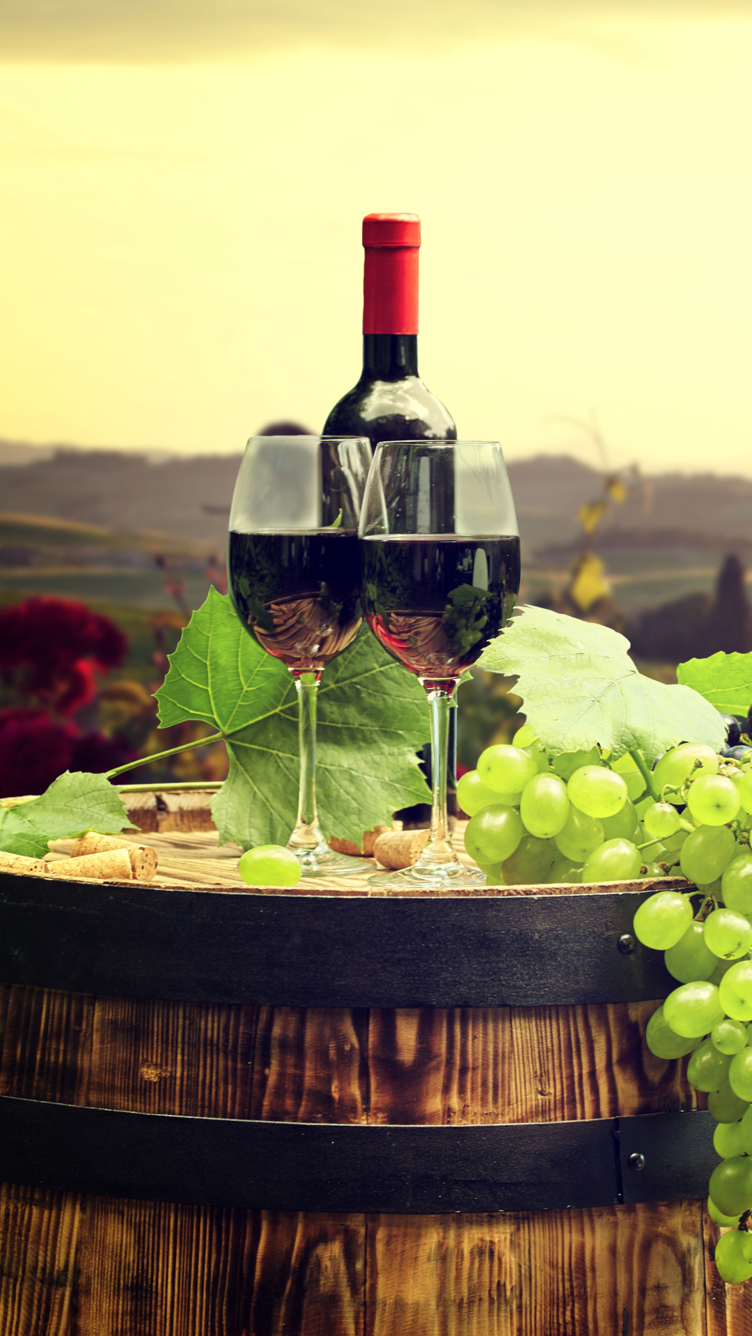 Download mobile wallpaper Food, Grapes, Glass, Vineyard, Barrel, Wine for free.