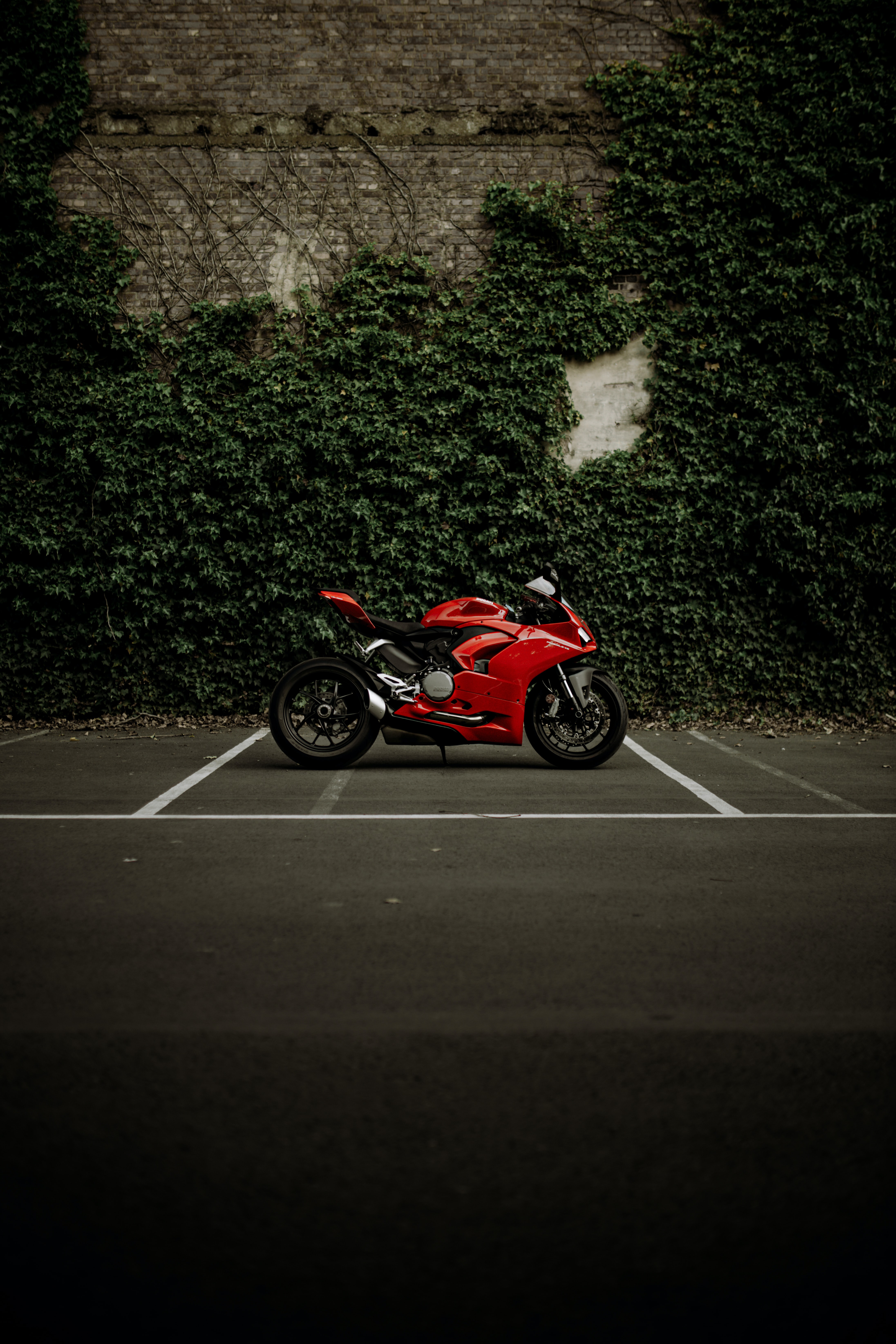 bike, ducati, motorcycle, motorcycles, ducati panigale v2, red