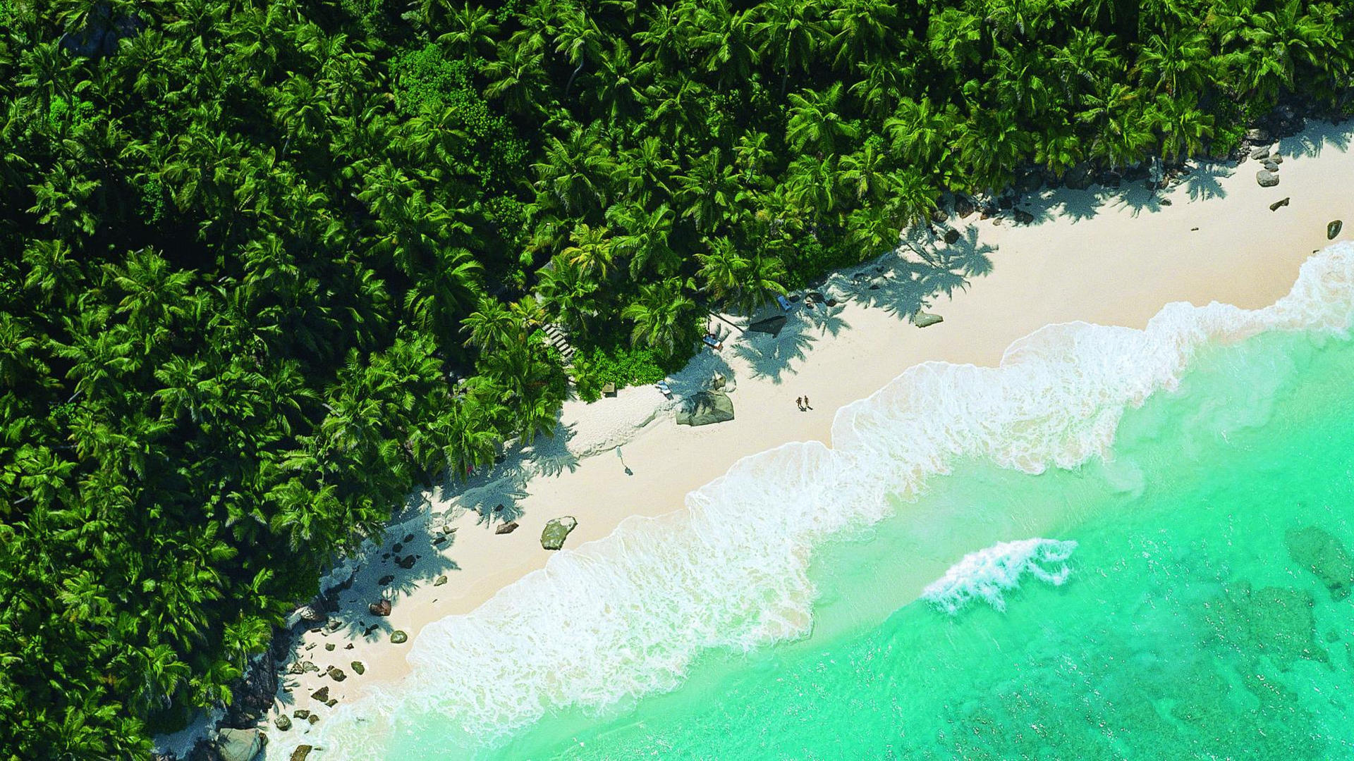 Descarga gratis la imagen Playa, Tierra/naturaleza, Palmera, Tropico en el escritorio de tu PC