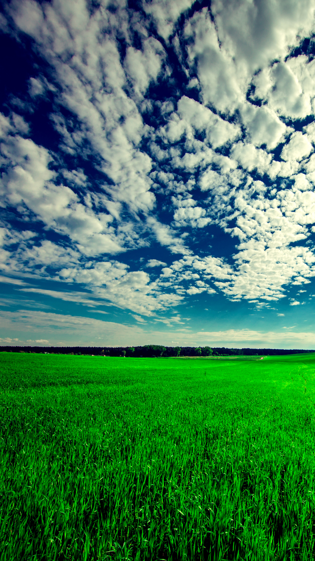 Download mobile wallpaper Landscape, Grass, Sky, Earth, Field, Cloud for free.