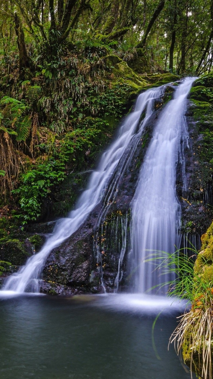 Handy-Wallpaper Natur, Wasserfälle, Wasserfall, Wald, Australien, Erde/natur kostenlos herunterladen.