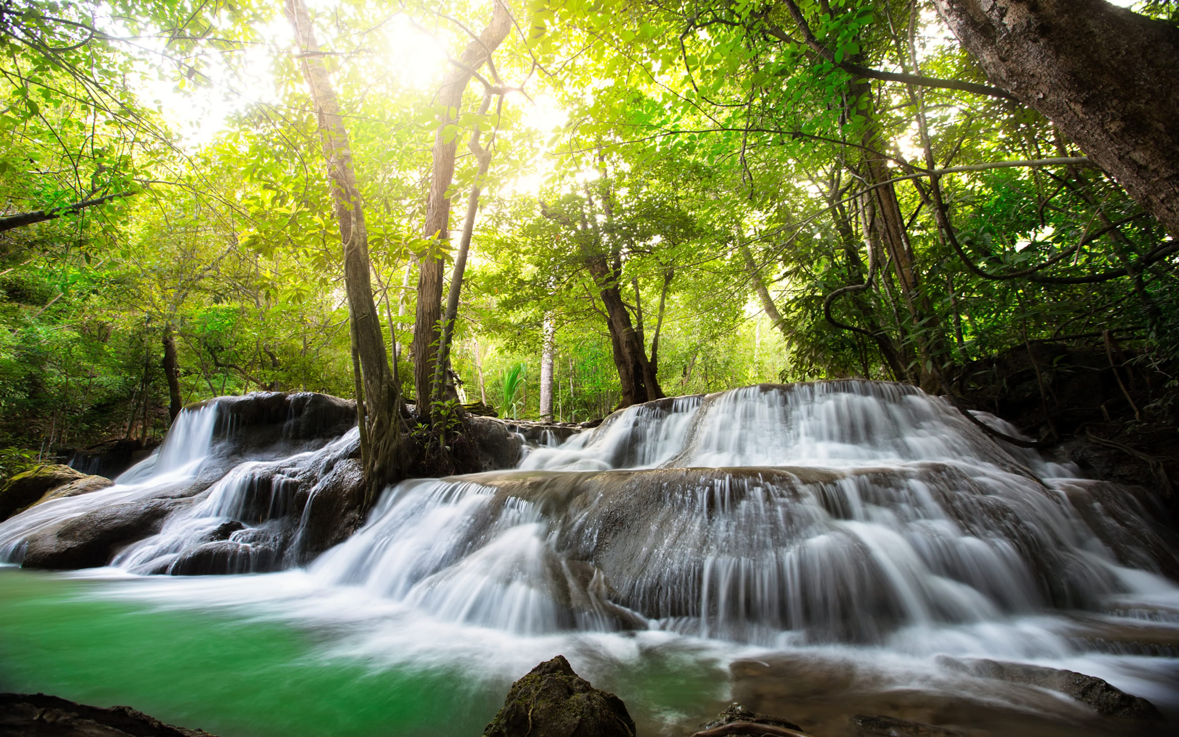 Handy-Wallpaper Wasserfälle, Wasserfall, Wald, Erde/natur kostenlos herunterladen.