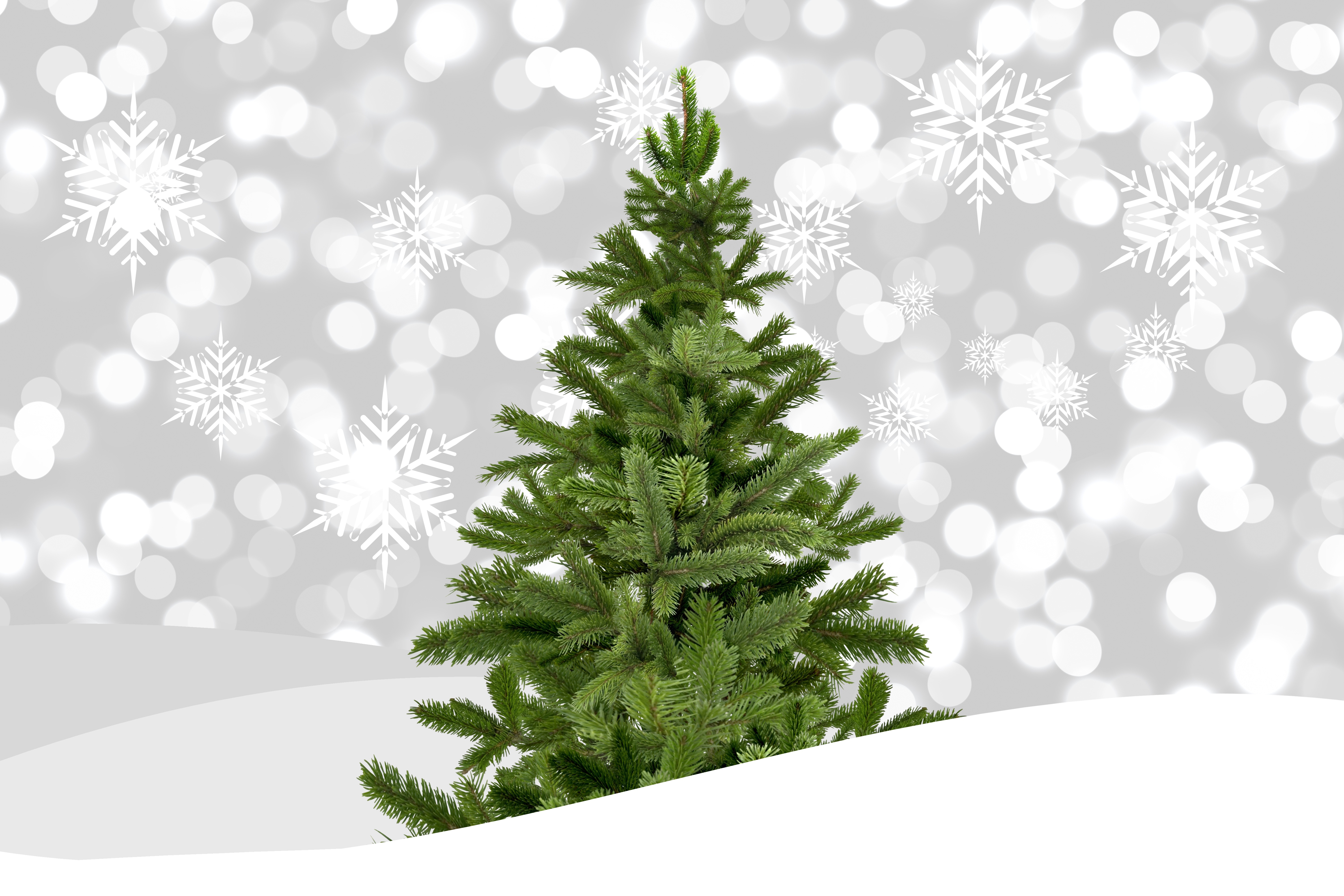 PCデスクトップにクリスマス, クリスマスツリー, スノーフレーク, ホリデー画像を無料でダウンロード
