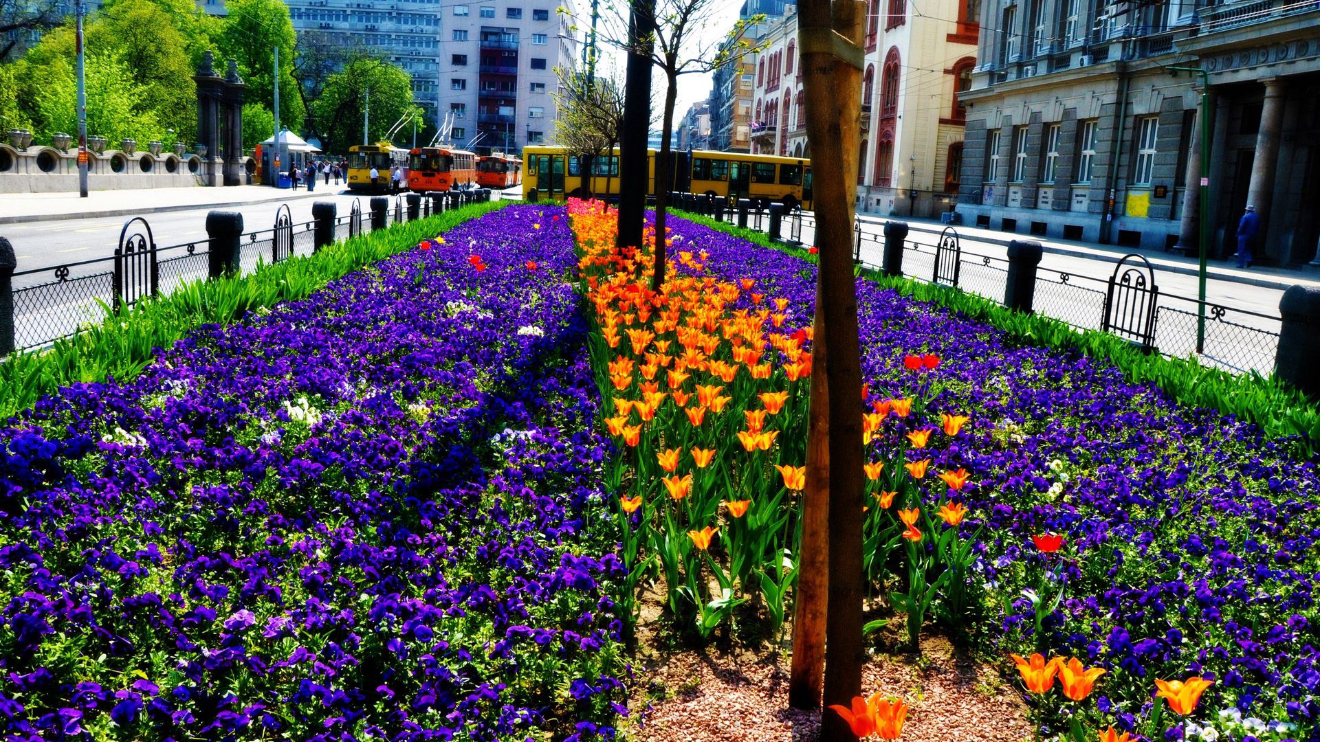 Download mobile wallpaper City, Flowerbed, Flower Bed, Flowers, Nature for free.