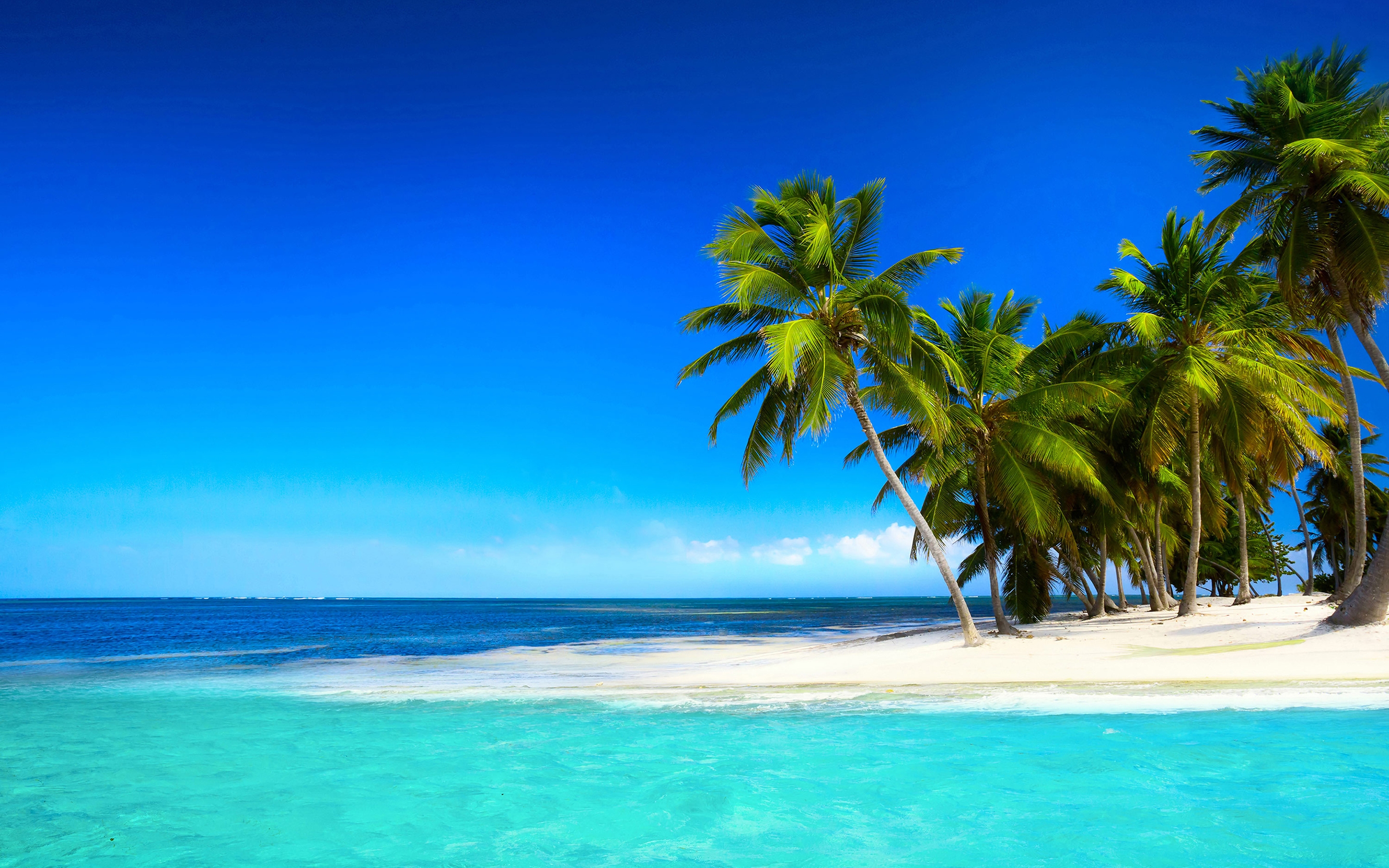 Скачать обои бесплатно Пляж, Пальмы, Океан, Тропический, Земля/природа картинка на рабочий стол ПК
