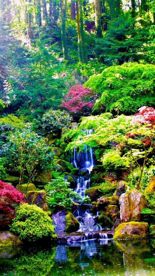 Download mobile wallpaper Nature, Water, Waterfalls, Plant, Waterfall, Forest, Vegetation, Earth, Garden for free.
