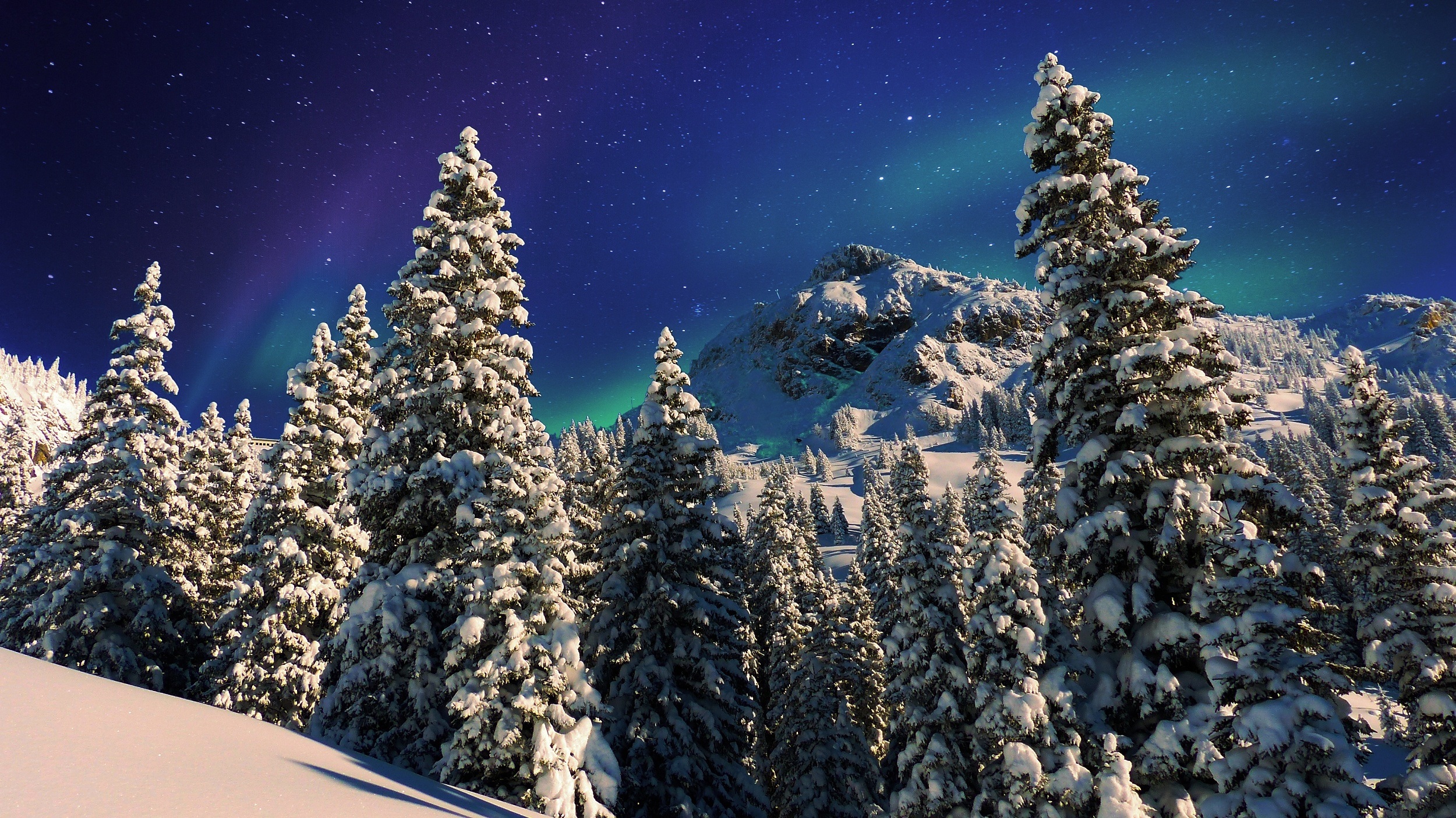 PCデスクトップに冬, 雪, 森, 地球, 夜画像を無料でダウンロード