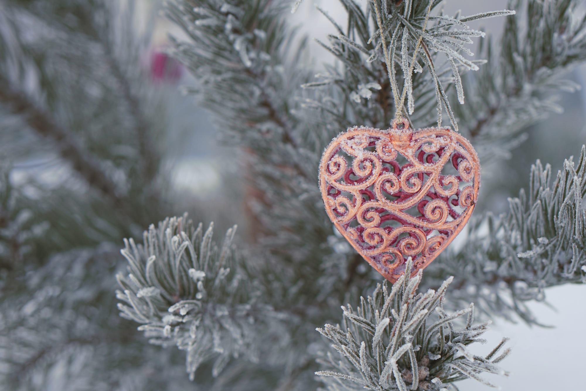 PCデスクトップにクリスマス, クリスマスツリー, 心臓, ホリデー画像を無料でダウンロード