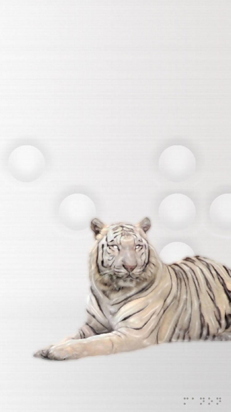 無料モバイル壁紙動物, 猫, ホワイトタイガーをダウンロードします。