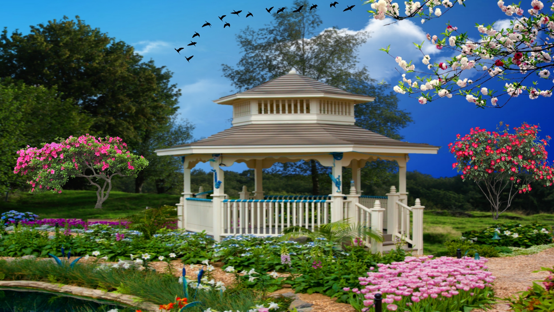 Free download wallpaper Bird, Park, Tree, Garden, Colorful, Spring, Artistic, Gazebo, Blossom on your PC desktop