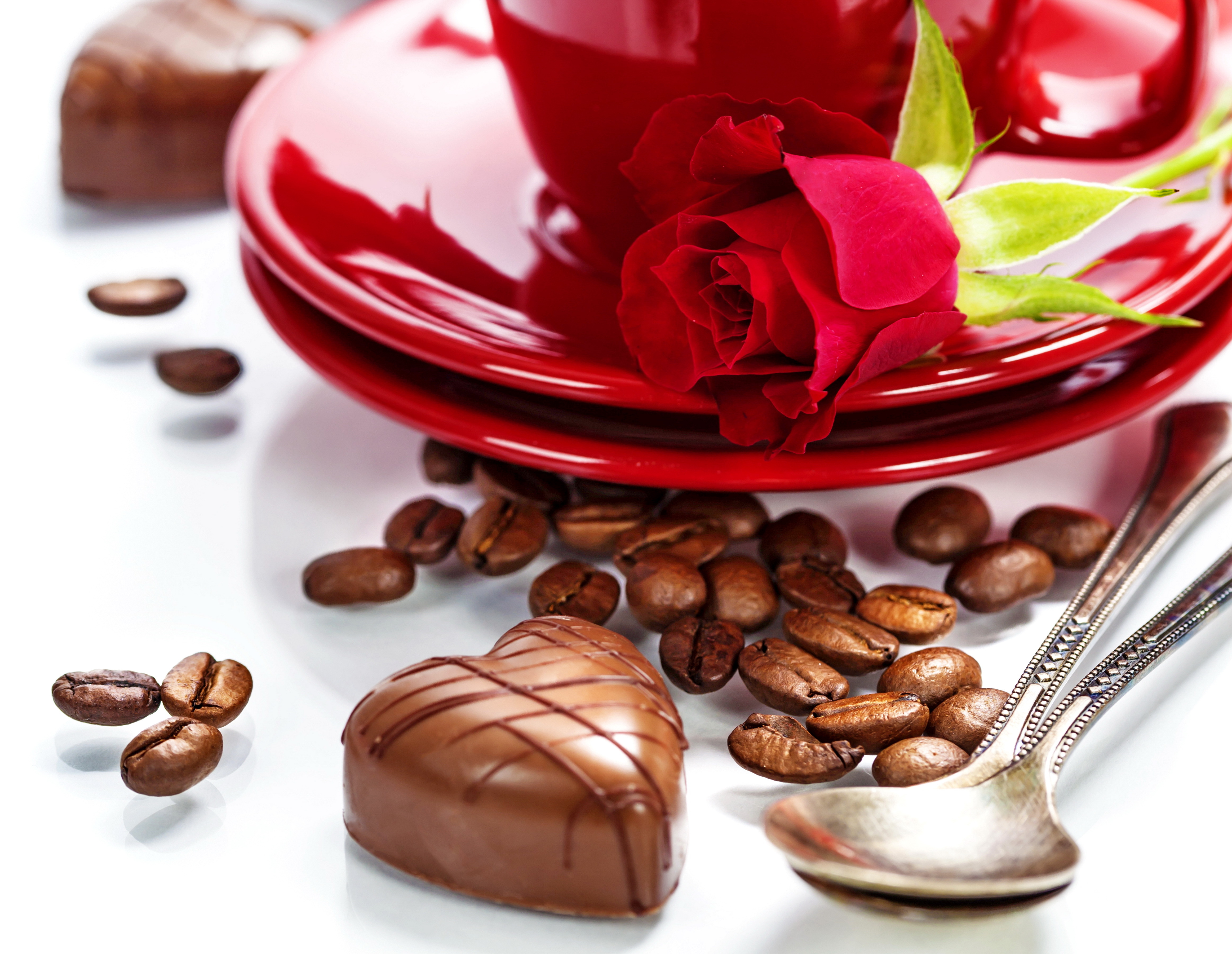 Download mobile wallpaper Food, Coffee, Rose, Cup for free.