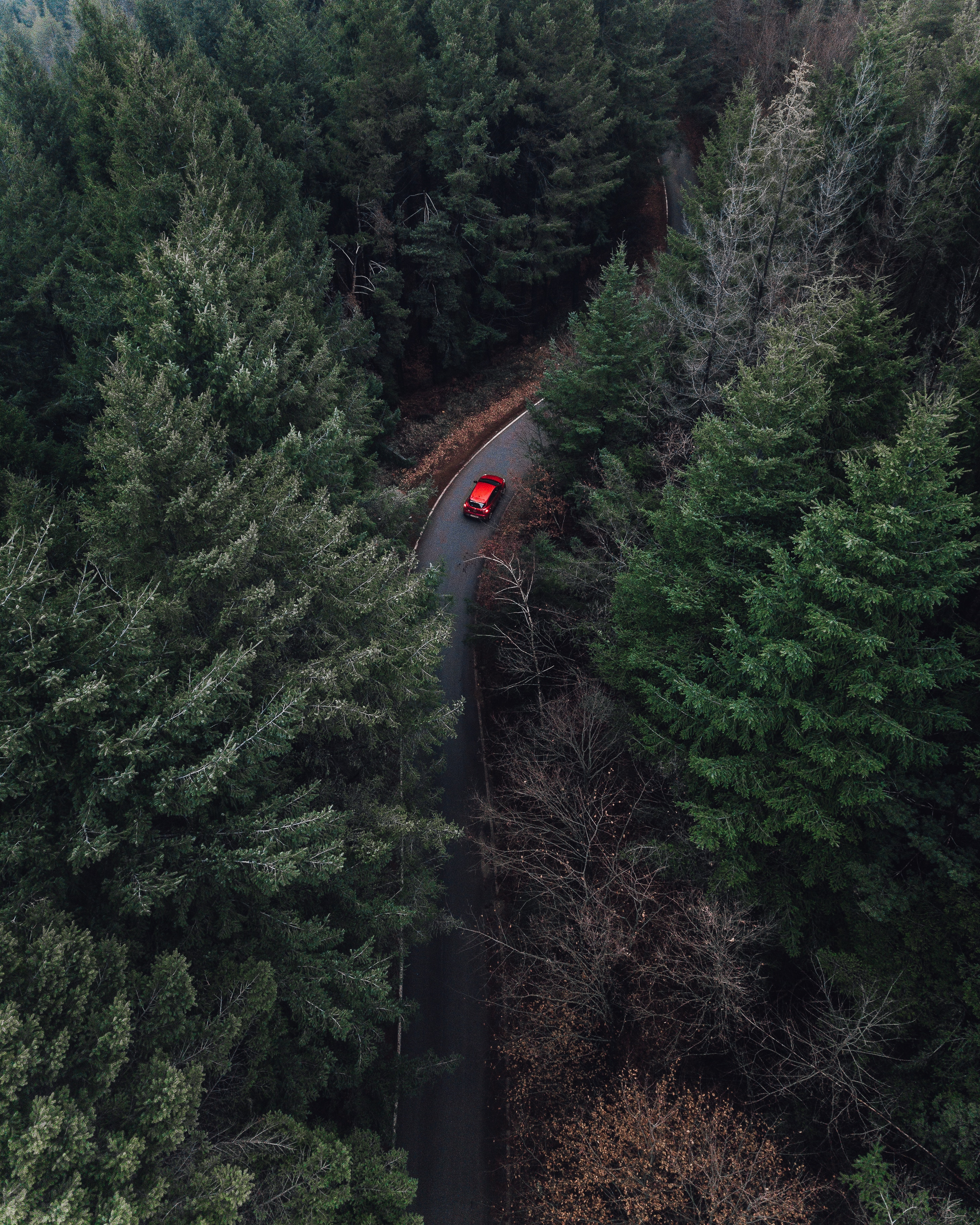 Download mobile wallpaper Nature, Trees, Fog, View From Above, Car, Forest for free.