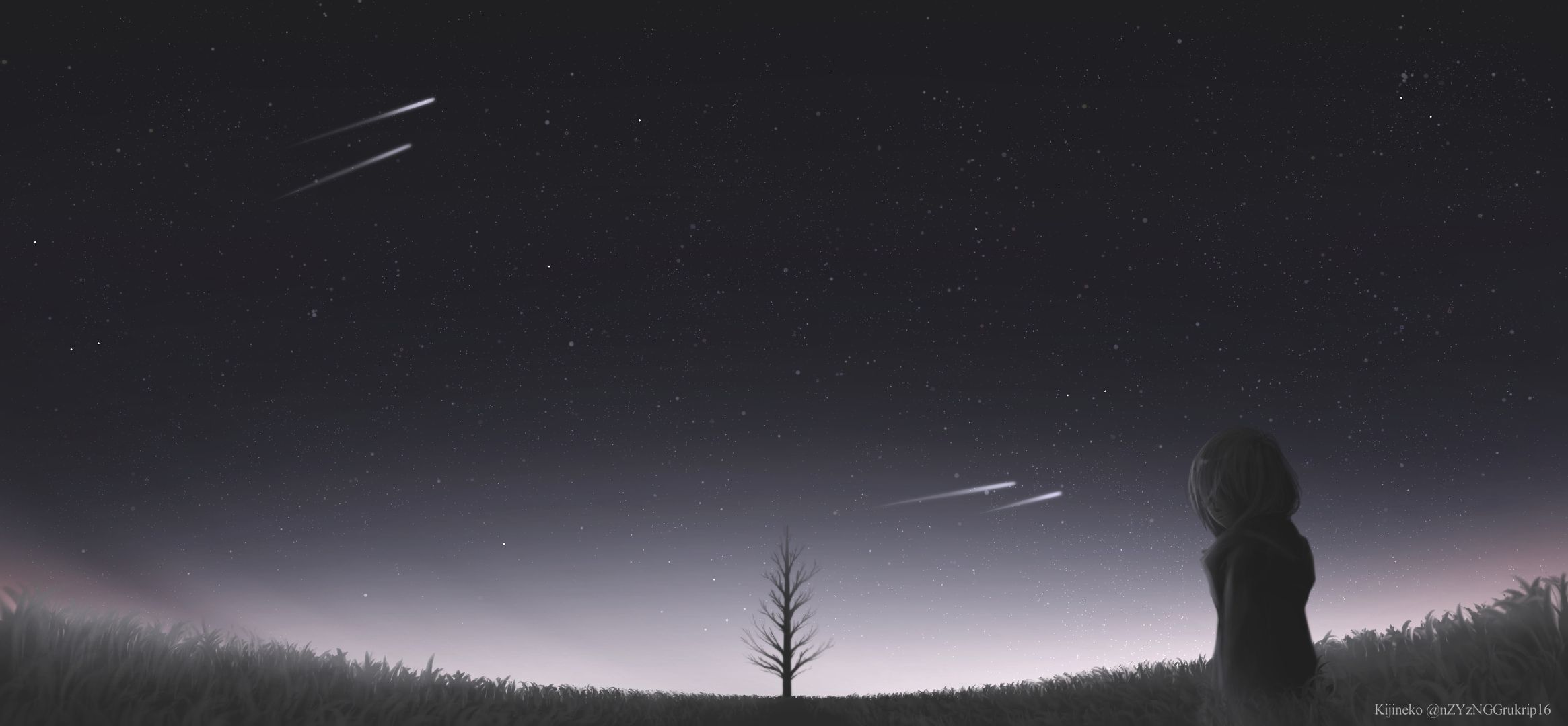 Download mobile wallpaper Anime, Stars, Night, Tree, Field, Comet, Original for free.
