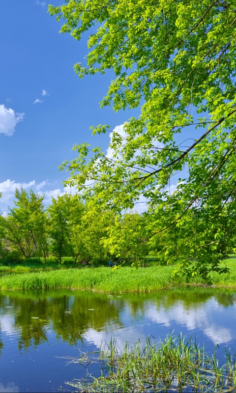 Download mobile wallpaper Landscape, Nature, Lakes, Lake, Tree, Earth, Spring, Sunny for free.