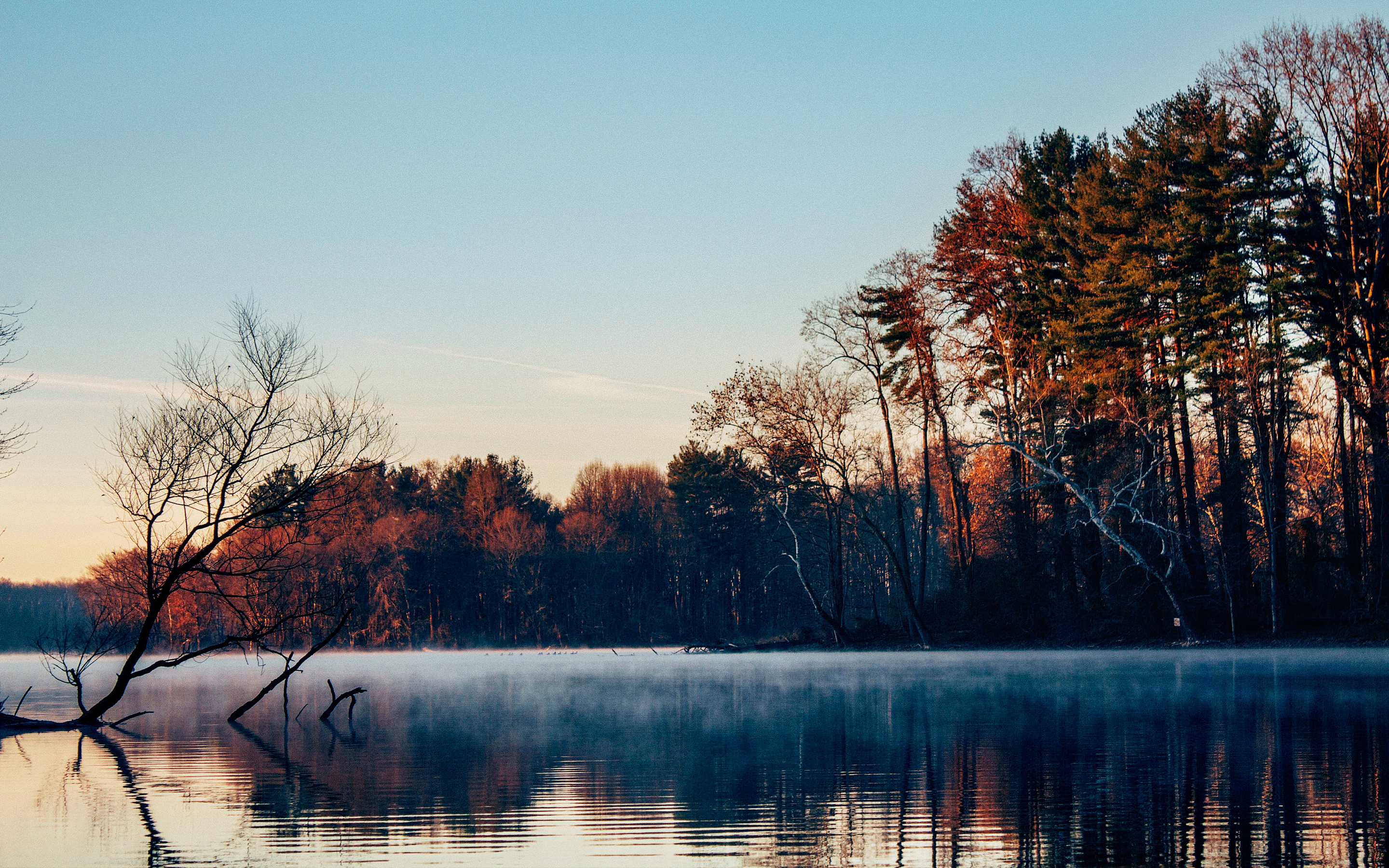 Laden Sie das Natur, Herbst, Seen, See, Wald, Baum, Nebel, Erde/natur, Spiegelung-Bild kostenlos auf Ihren PC-Desktop herunter