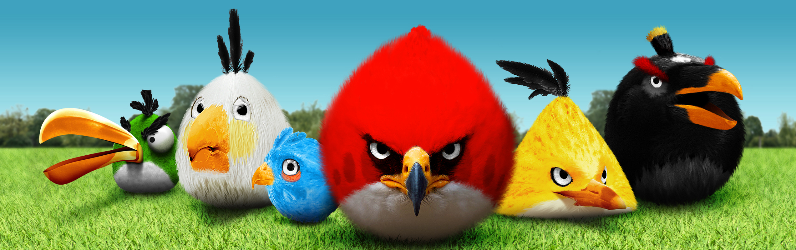 223710 Bild herunterladen computerspiele, angry birds - Hintergrundbilder und Bildschirmschoner kostenlos
