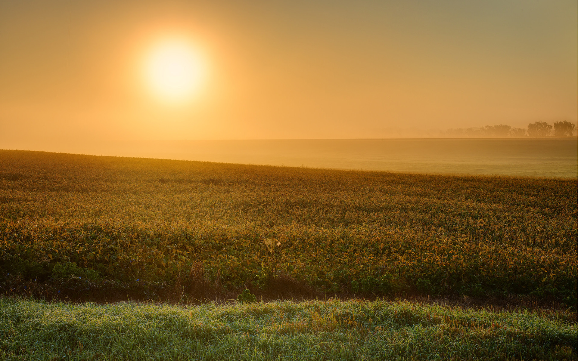 Free download wallpaper Landscape, Earth on your PC desktop