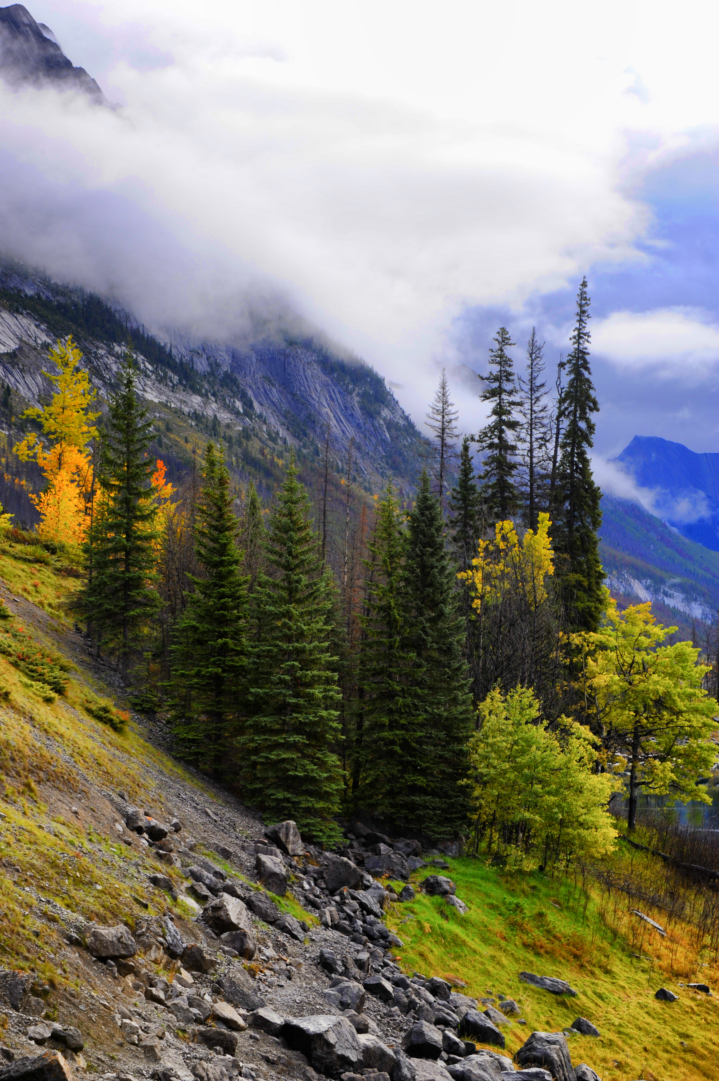 Laden Sie das Natur, Bäume, Stones, Nebel, Mountains-Bild kostenlos auf Ihren PC-Desktop herunter